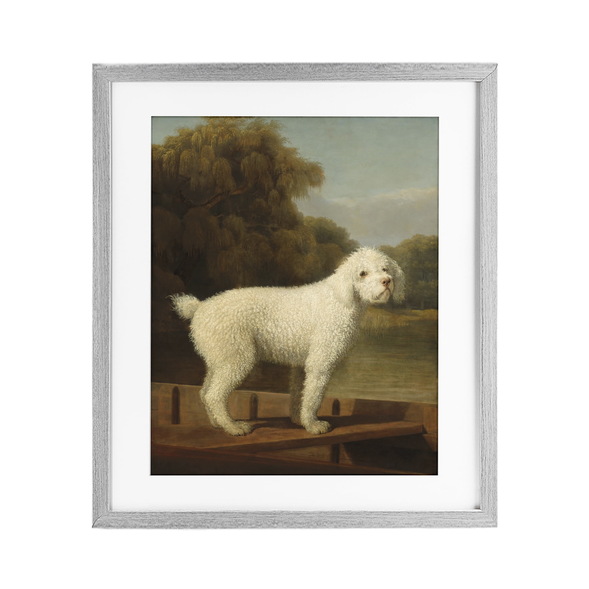 Stupell Industries White Poodle in a Punt Gray Framed Print Under Glass, design by Tina LeCour