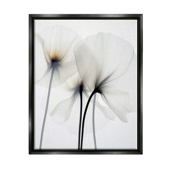 Stupell Industries White Poppy Photography Botanical & Floral Photography Black Floater Framed Canvas Art Print Wall Art, 17 x 21