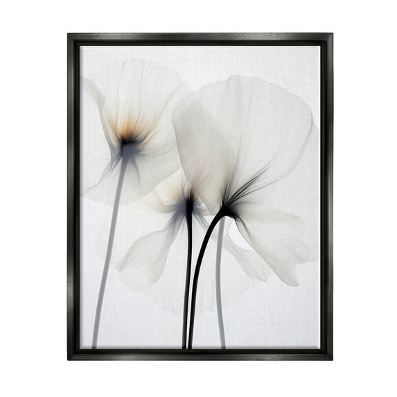 Stupell Industries White Poppy Photography Botanical & Floral Photography Black Floater Framed Canvas Art Print Wall Art, 25 x 31