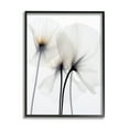 thumbnail image 1 of Stupell Industries White Poppy Photography Botanical & Floral Photography Black Framed Art Print Wall Art, 16 x 20, 1 of 9
