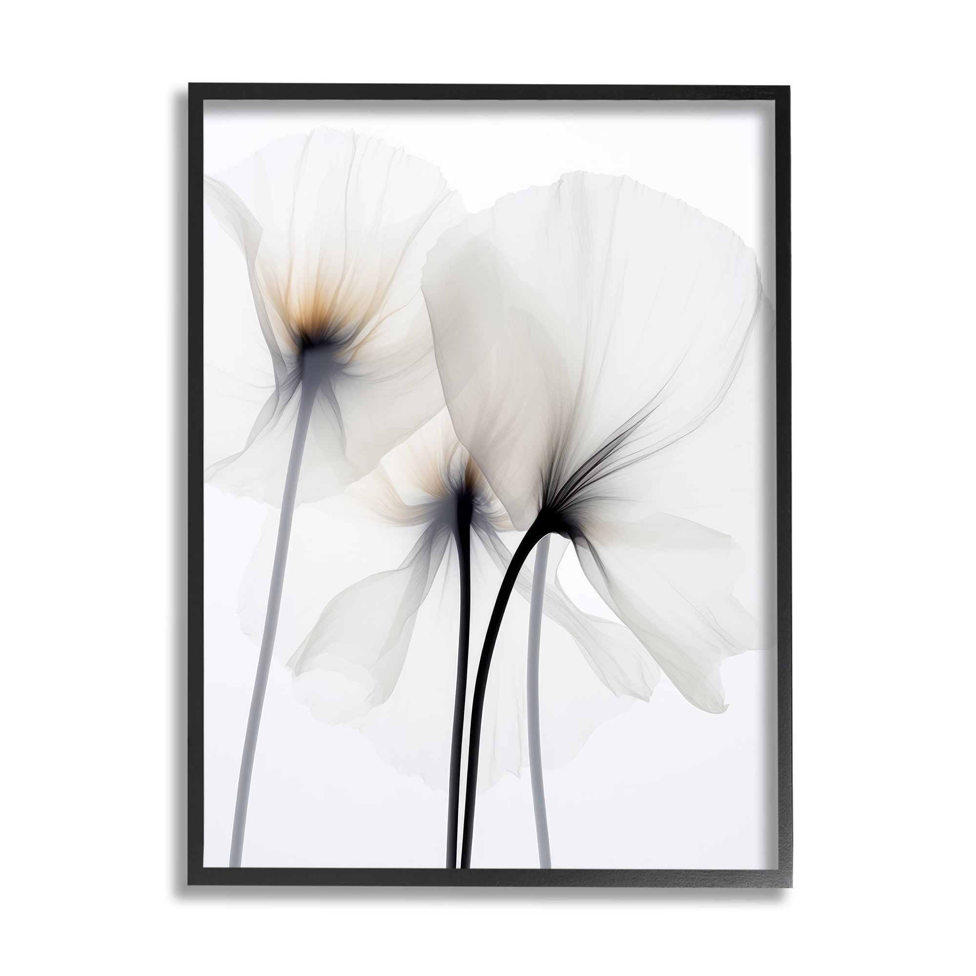 Stupell Industries White Poppy Photography Botanical & Floral Photography Black Framed Art Print Wall Art, 24 x 30