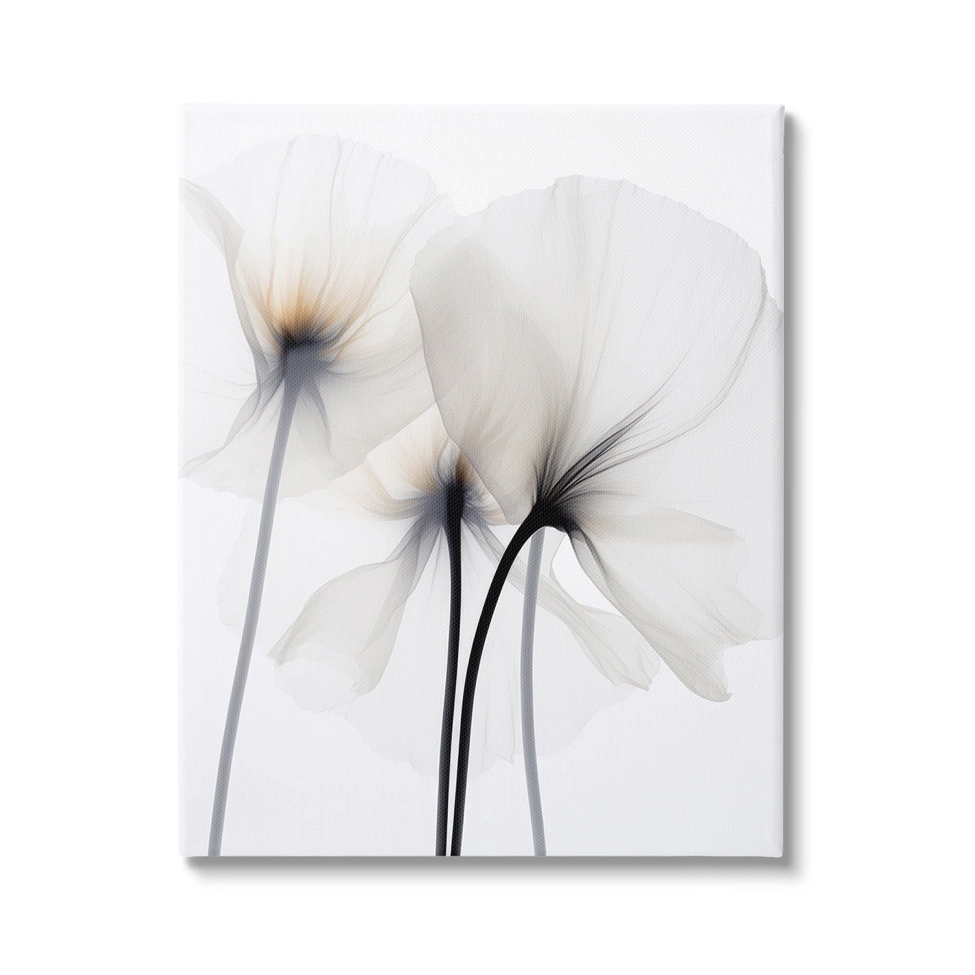Stupell Industries White Poppy Photography Botanical & Floral Photography Gallery Wrapped Canvas Art Print Wall Art, 36 x 48