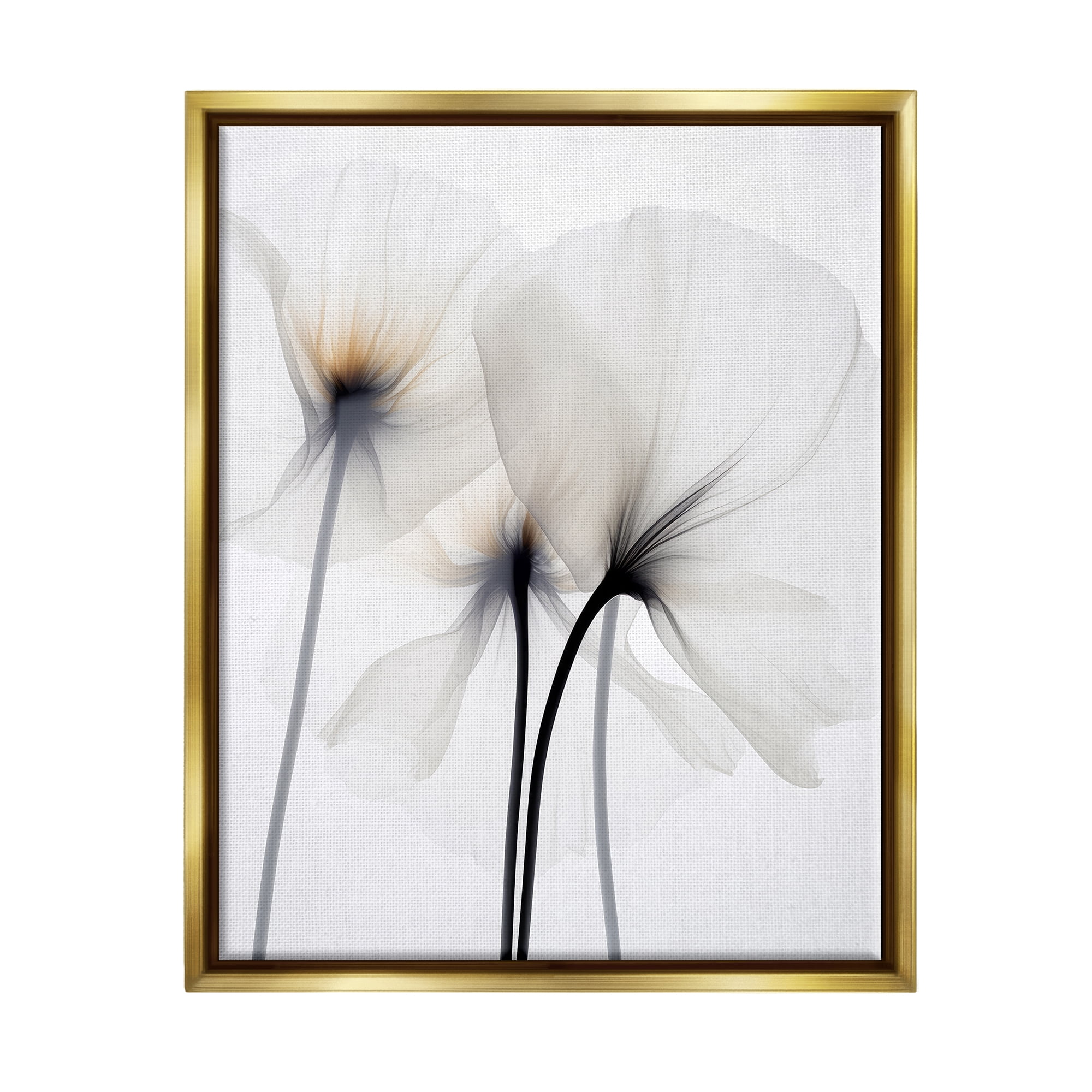 Stupell Industries White Poppy Photography Botanical & Floral Photography Gold Floater Framed Canvas Art Print Wall Art, 25 x 31