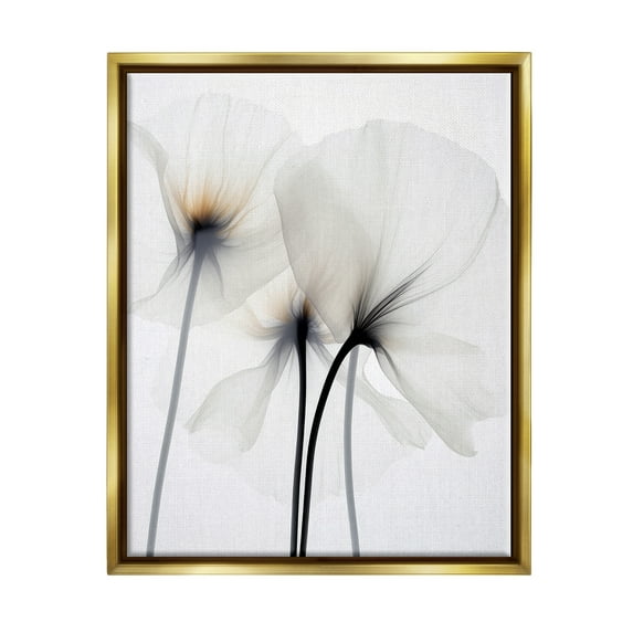 Stupell Industries White Poppy Photography Botanical & Floral Photography Gold Floater Framed Canvas Art Print Wall Art, 25 x 31