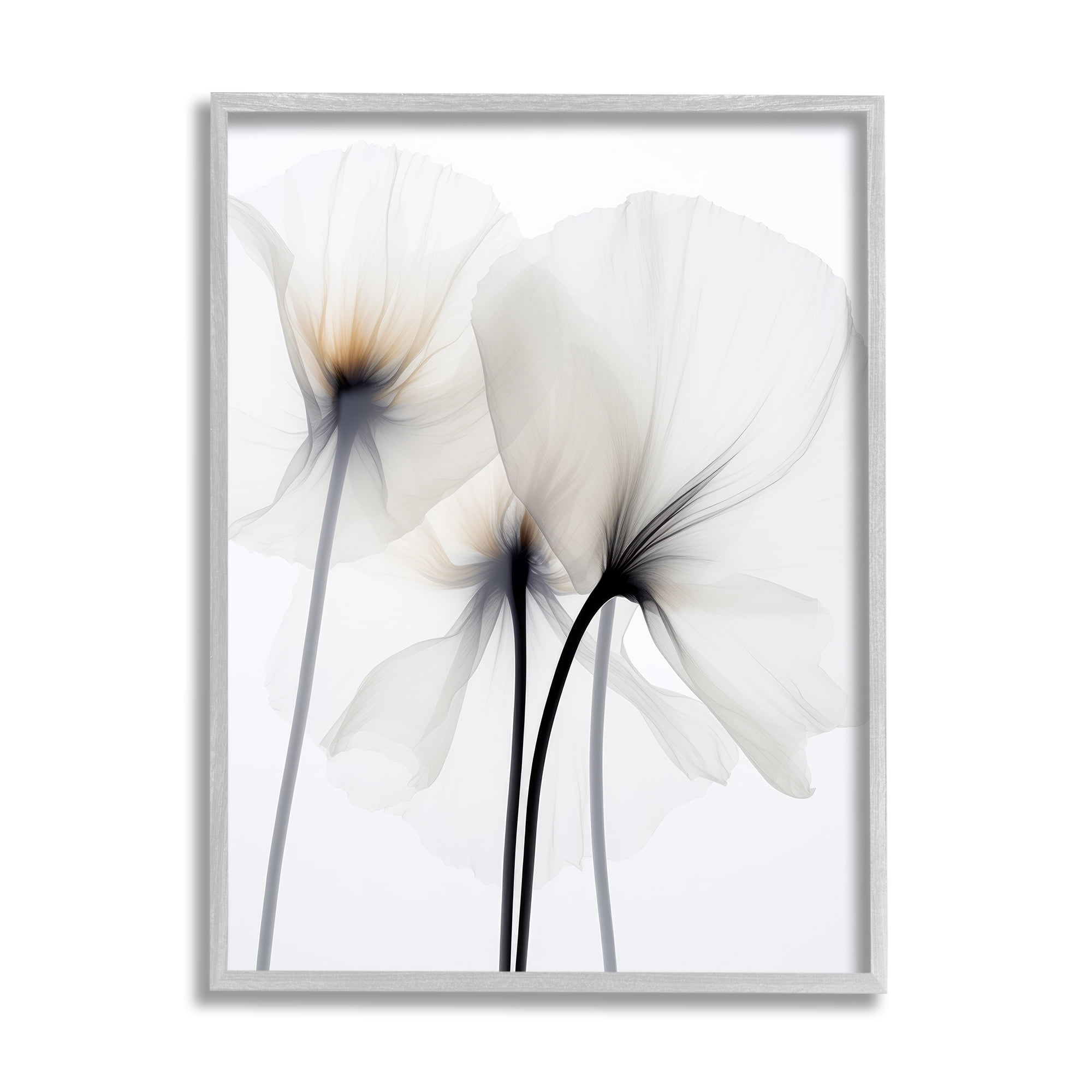 Stupell Industries White Poppy Photography Botanical & Floral Photography Gray Framed Art Print Wall Art, 24 x 30