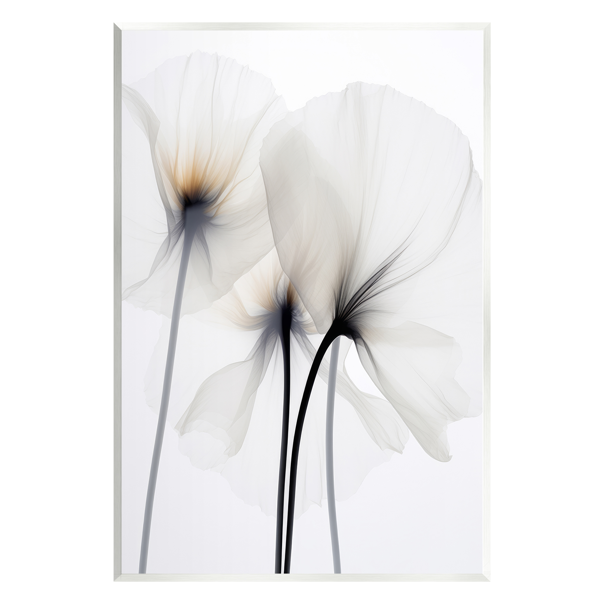Stupell Industries White Poppy Photography Botanical & Floral Photography Unframed Art Print Wall Art, 13 x 19