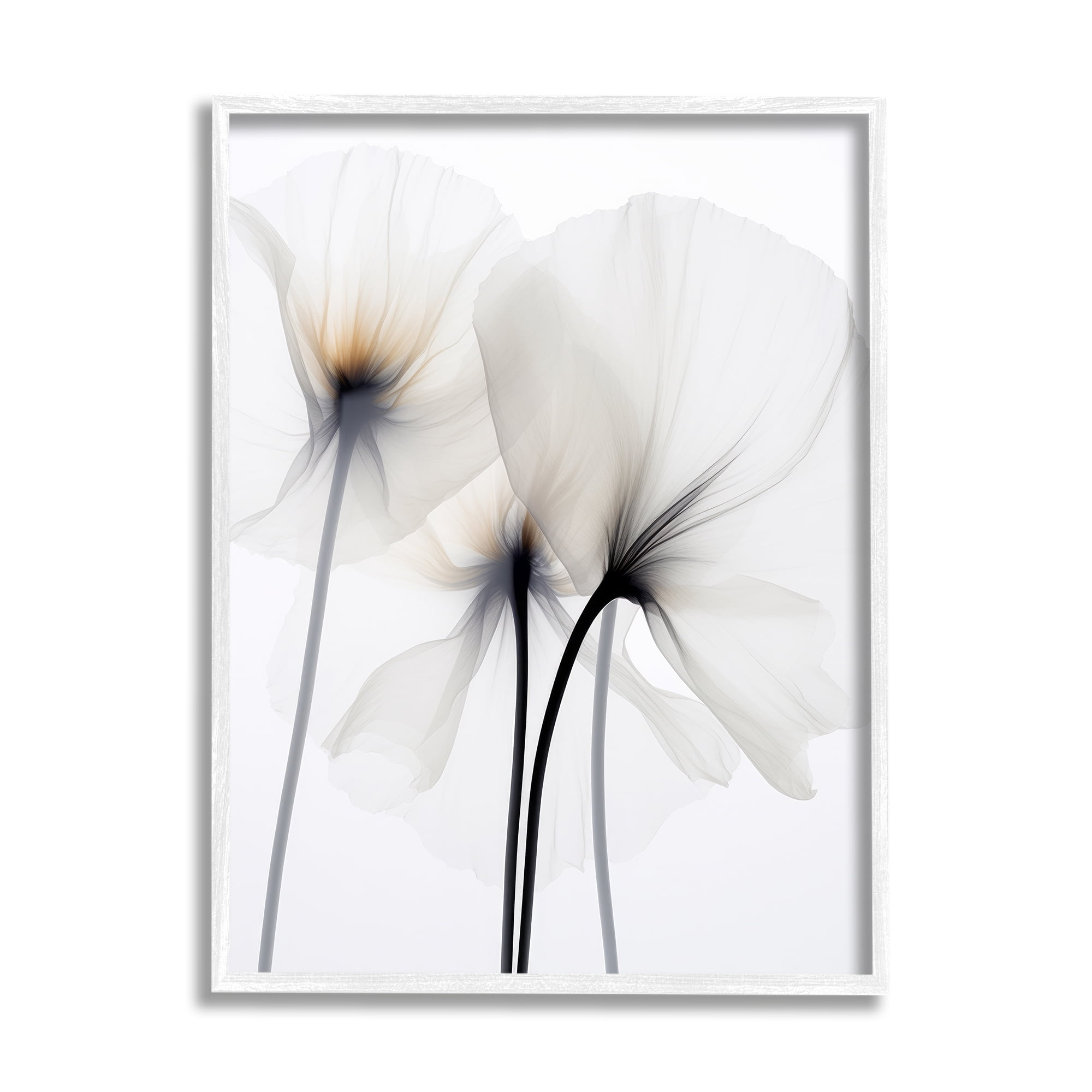 Stupell Industries White Poppy Photography Botanical & Floral Photography White Framed Art Print Wall Art, 24 x 30
