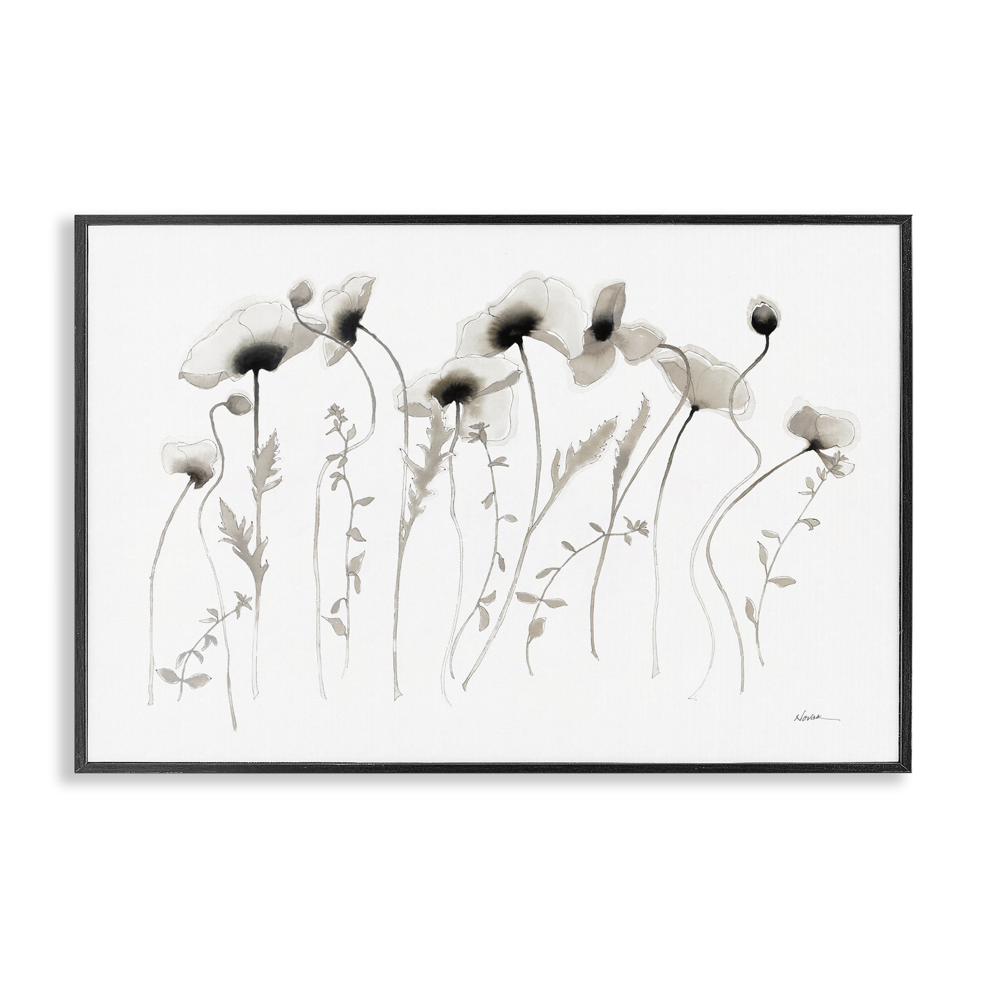Stupell Industries White Poppy Sprigs Botanical & Floral Painting Black Framed Art Print Wall Art, 30 x 20