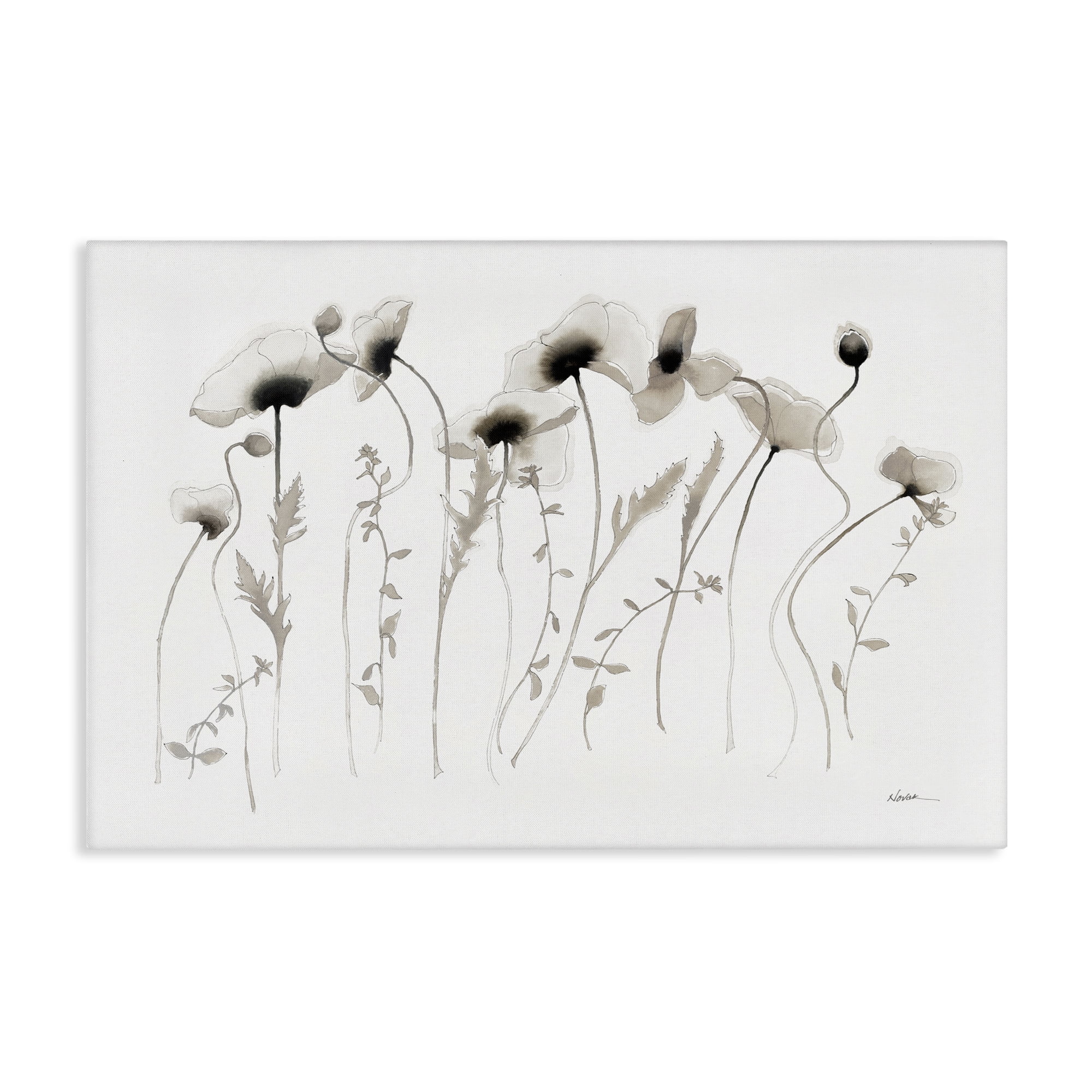 Stupell Industries White Poppy Sprigs Botanical & Floral Painting Gallery Wrapped Canvas Art Print Wall Art, 24 x 16