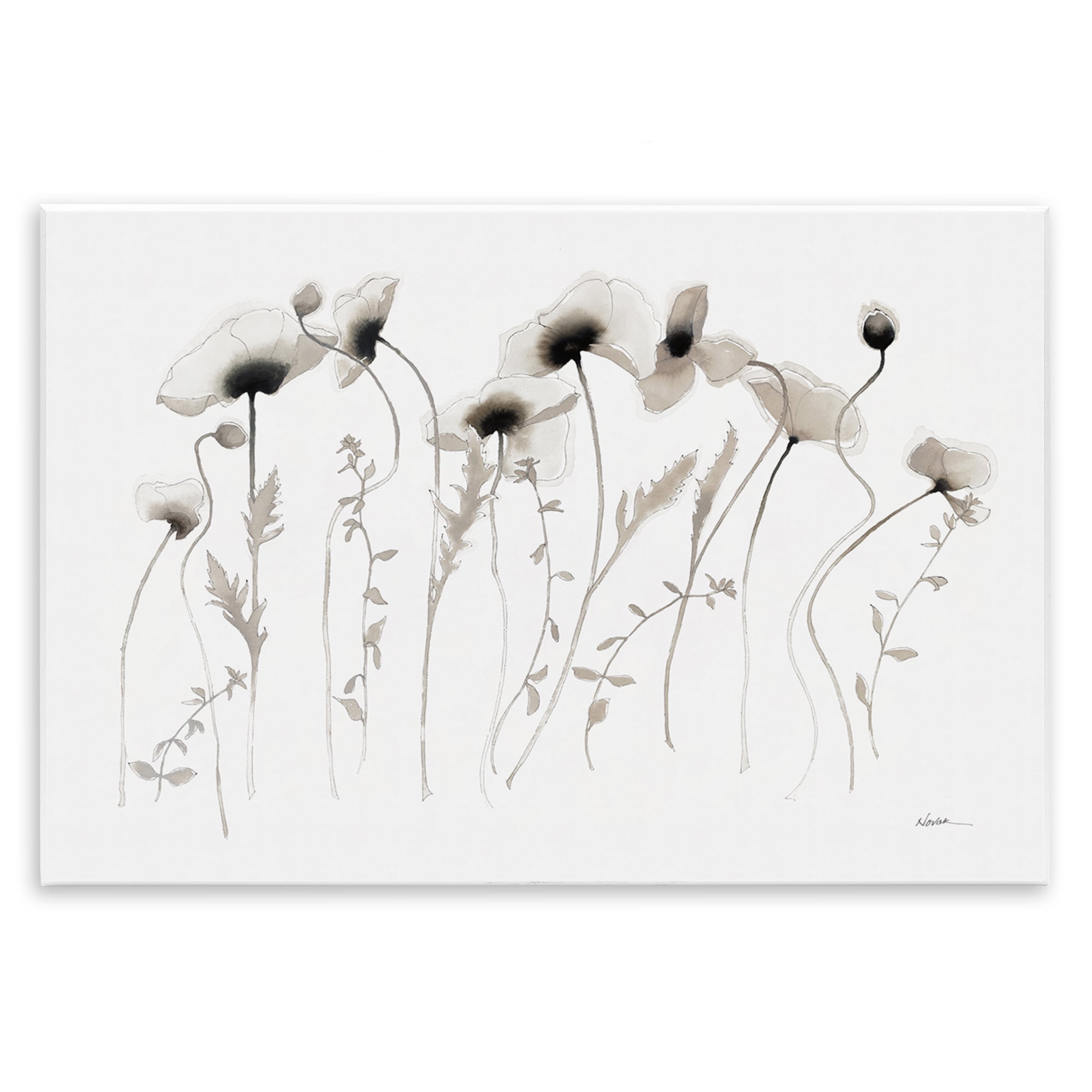 Stupell Industries White Poppy Sprigs Botanical & Floral Painting Unframed Art Print Wall Art, 19 x 13