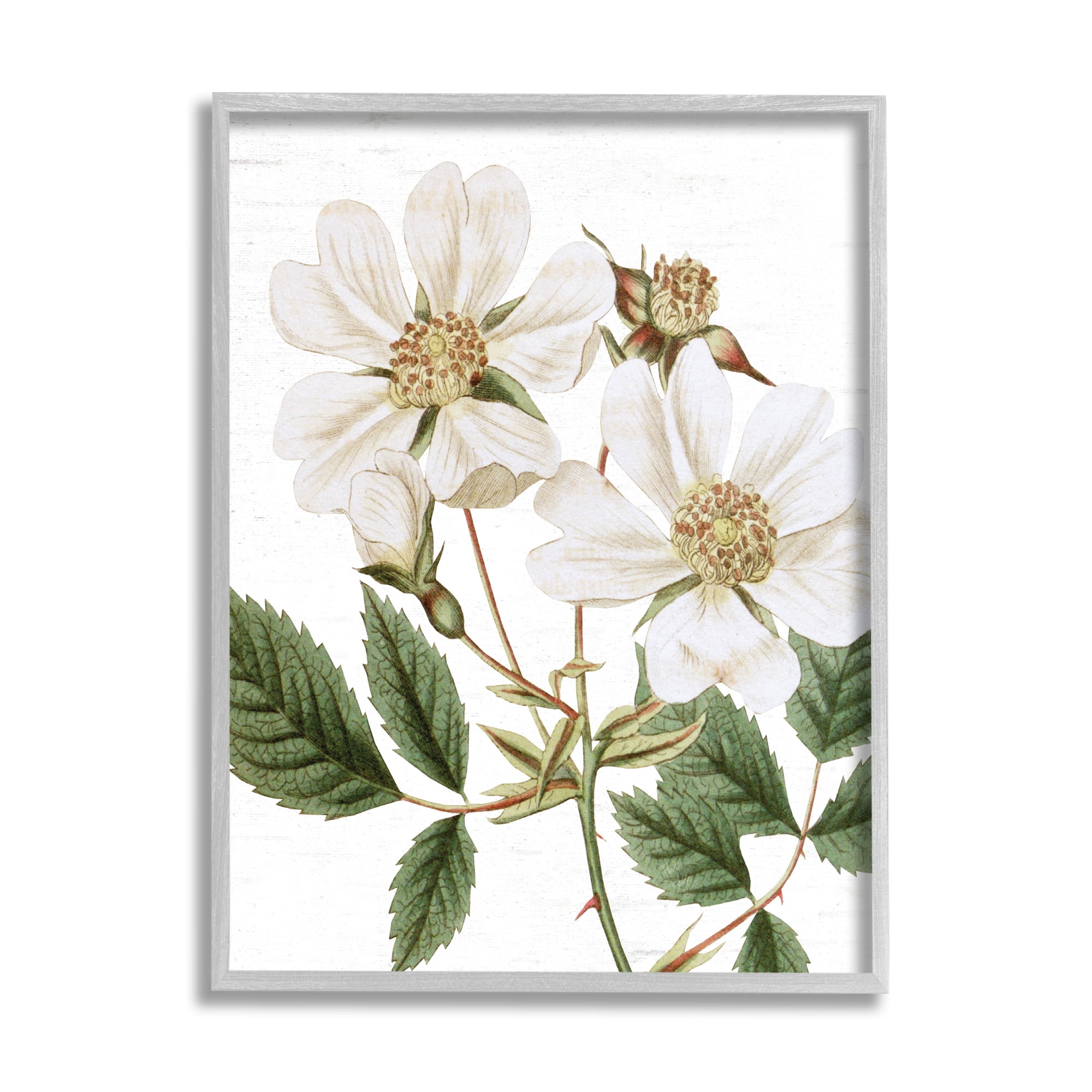 White Rose Botanical Print on Canvas with Gray Frame