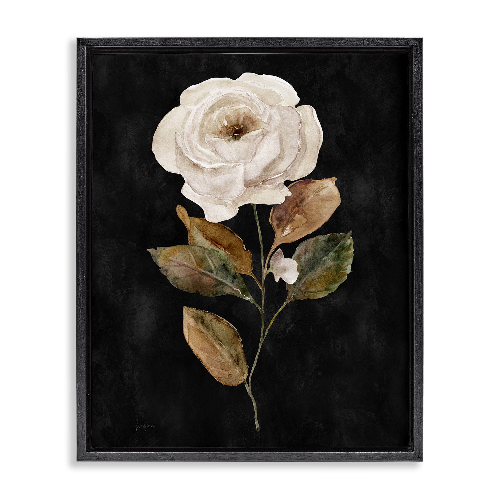 Stupell Industries White Rose on Black Plants & Flowers Painting Black Floater Framed Canvas Art Print Wall Art, 25 x 31