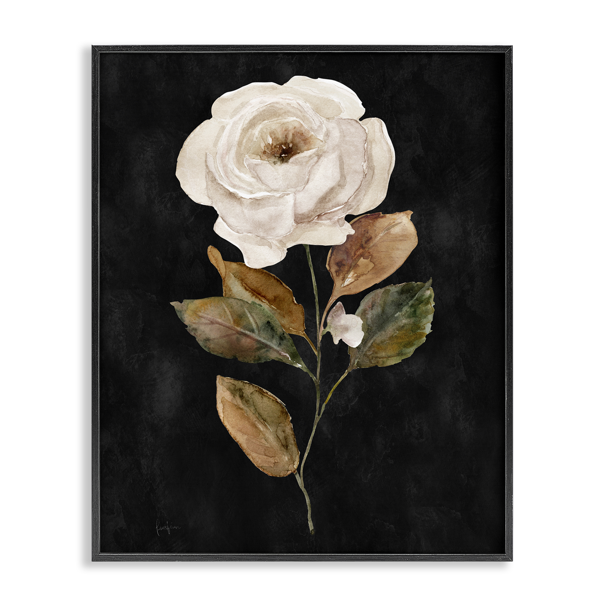 Stupell Industries White Rose on Black Plants & Flowers Painting Black Framed Art Print Wall Art, 24 x 30