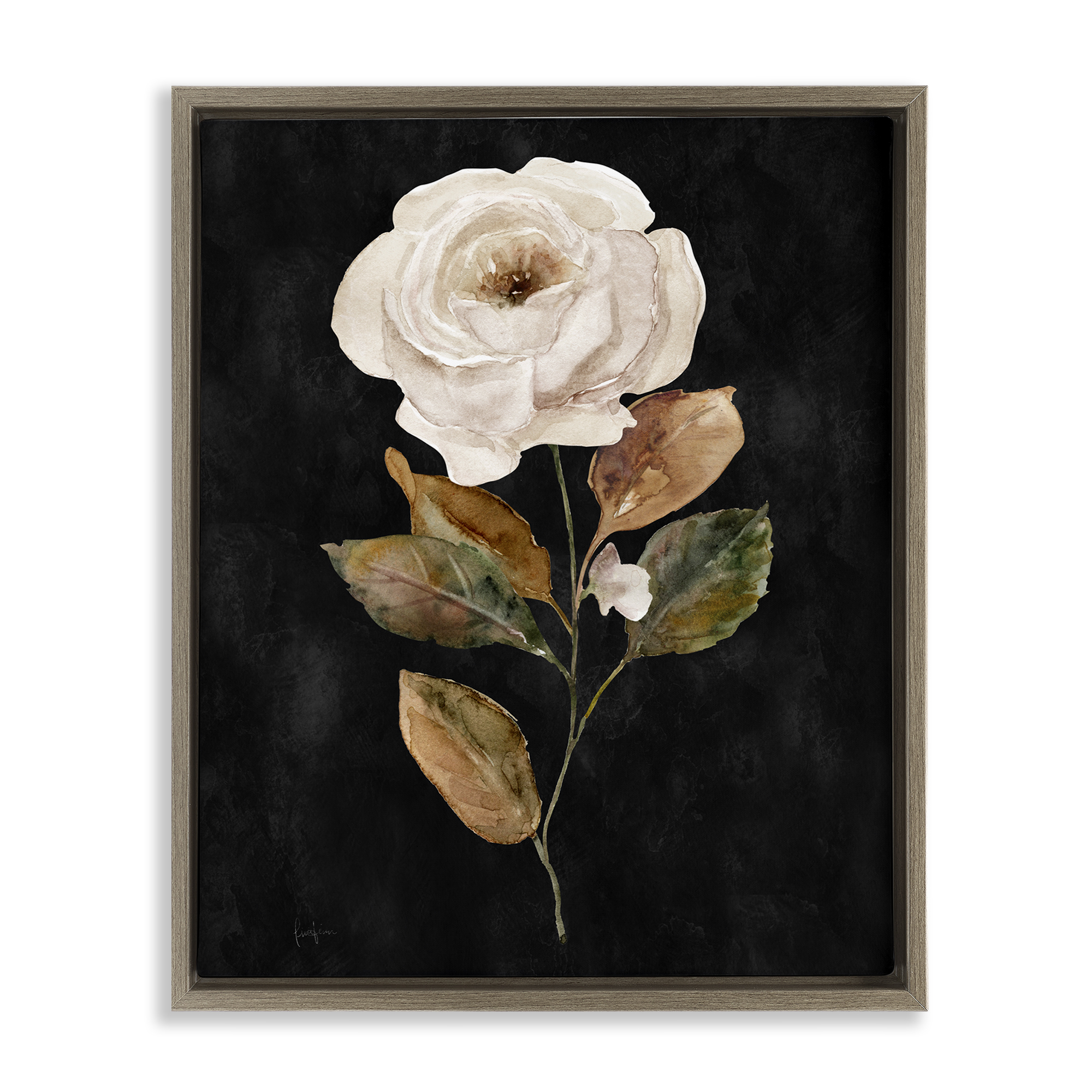 Stupell Industries White Rose on Black Plants & Flowers Painting Brown Floater Framed Canvas Art Print Wall Art, 17 x 21