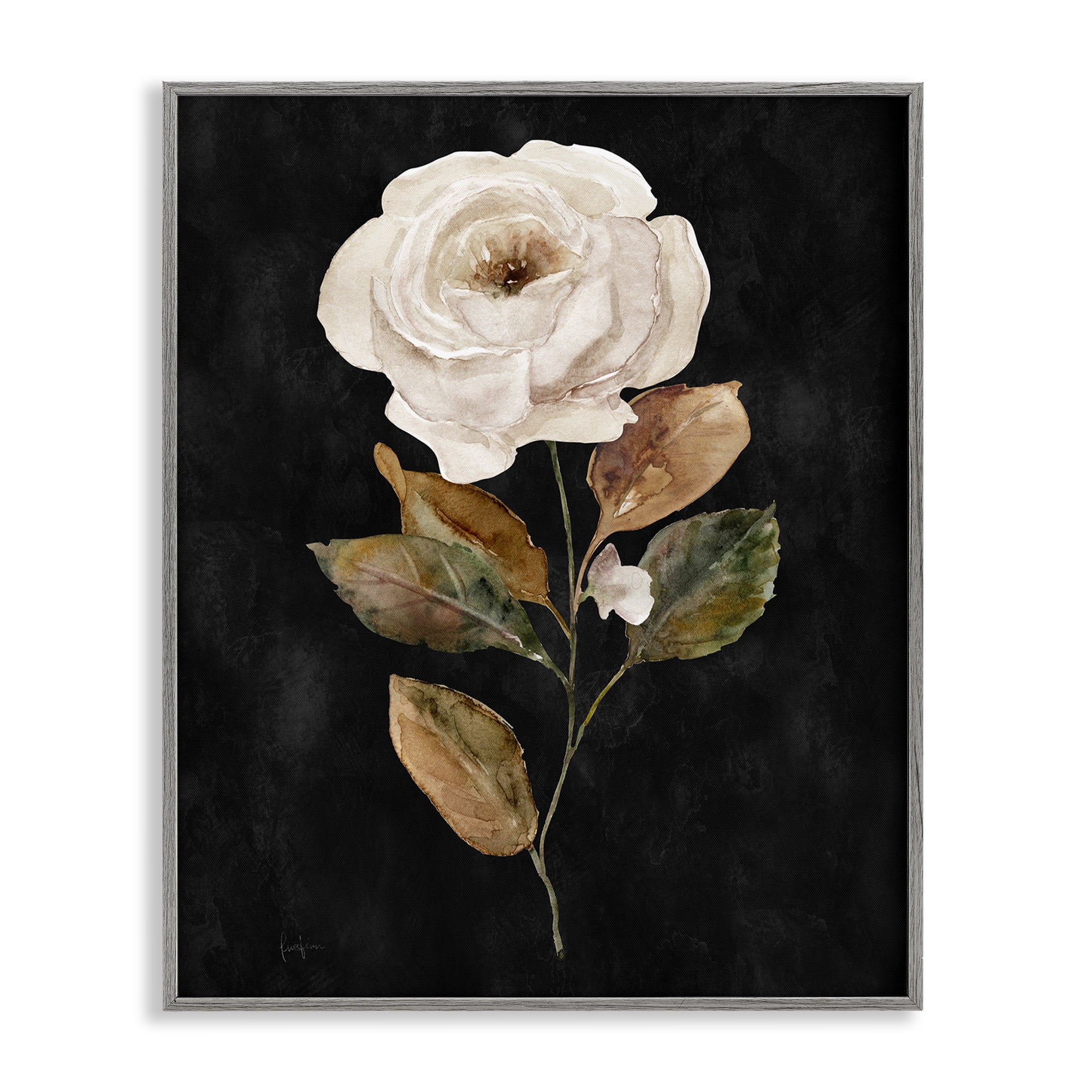 Stupell Industries White Rose on Black Plants & Flowers Painting Gray Framed Art Print Wall Art, 24 x 30
