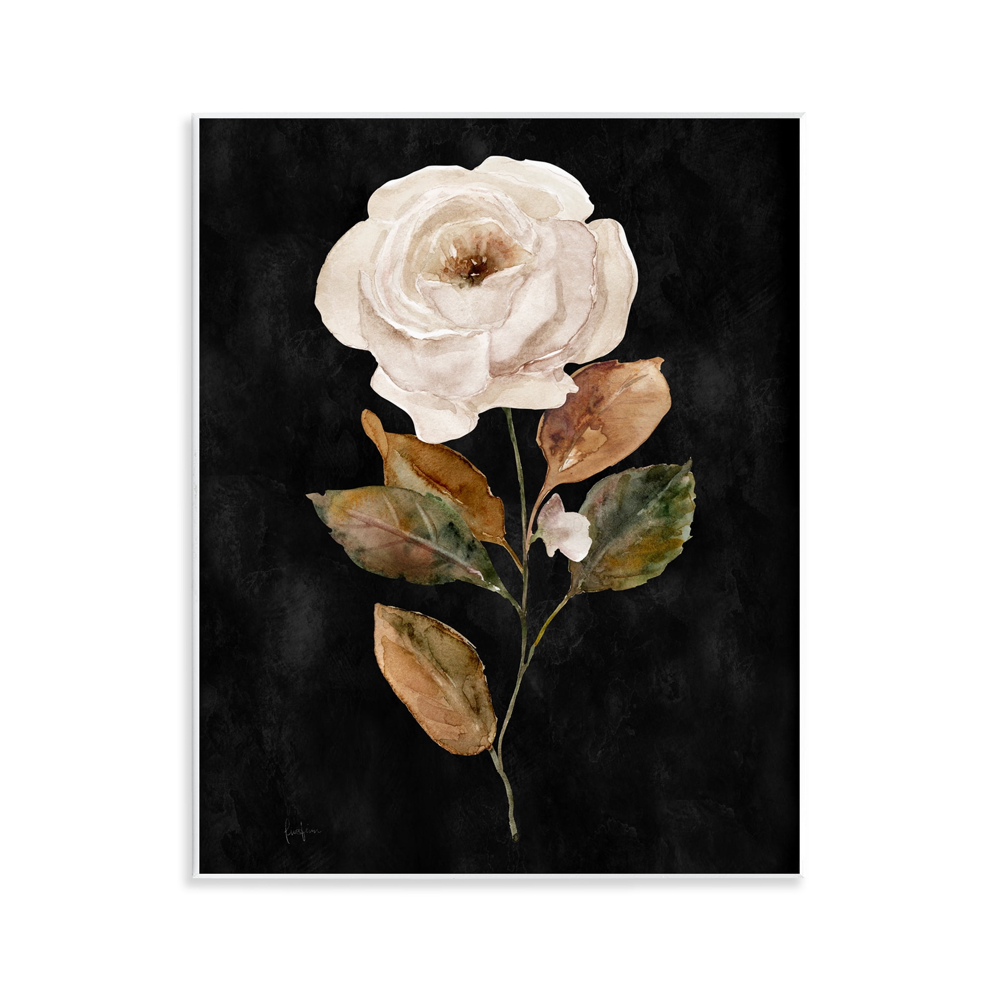 Stupell Industries White Rose on Black Plants & Flowers Painting Unframed Art Print Wall Art, 11 x 14