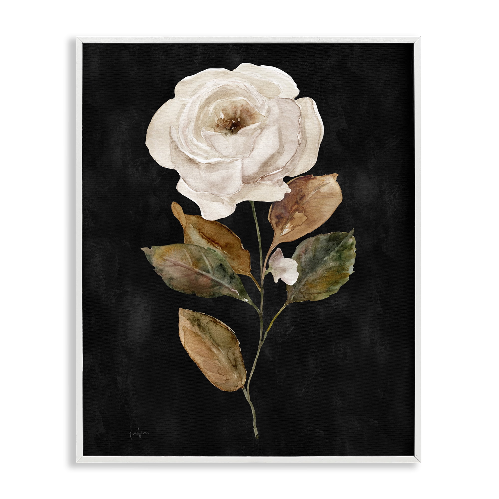 Stupell Industries White Rose on Black Plants & Flowers Painting White Framed Art Print Wall Art, 16 x 20