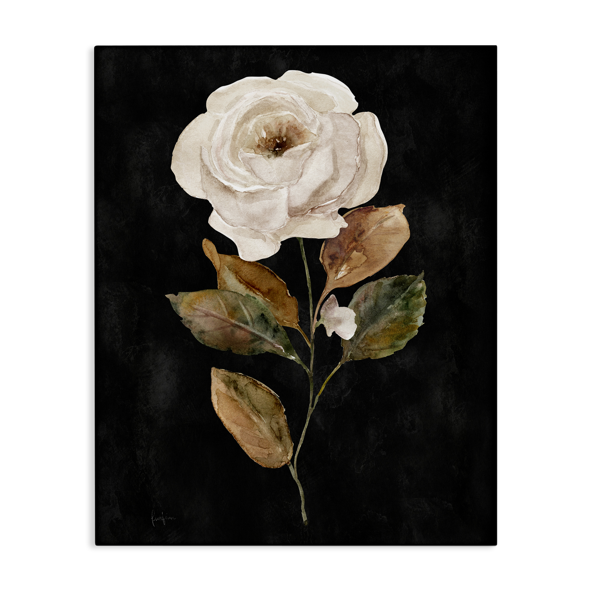 Stupell-Industries-White-Rose-