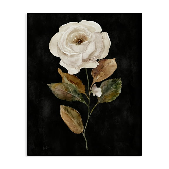 Stupell Industries White Rose on Black Plants & Flowers Painting Wrapped Canvas Art Print Wall Art, 16 x 20