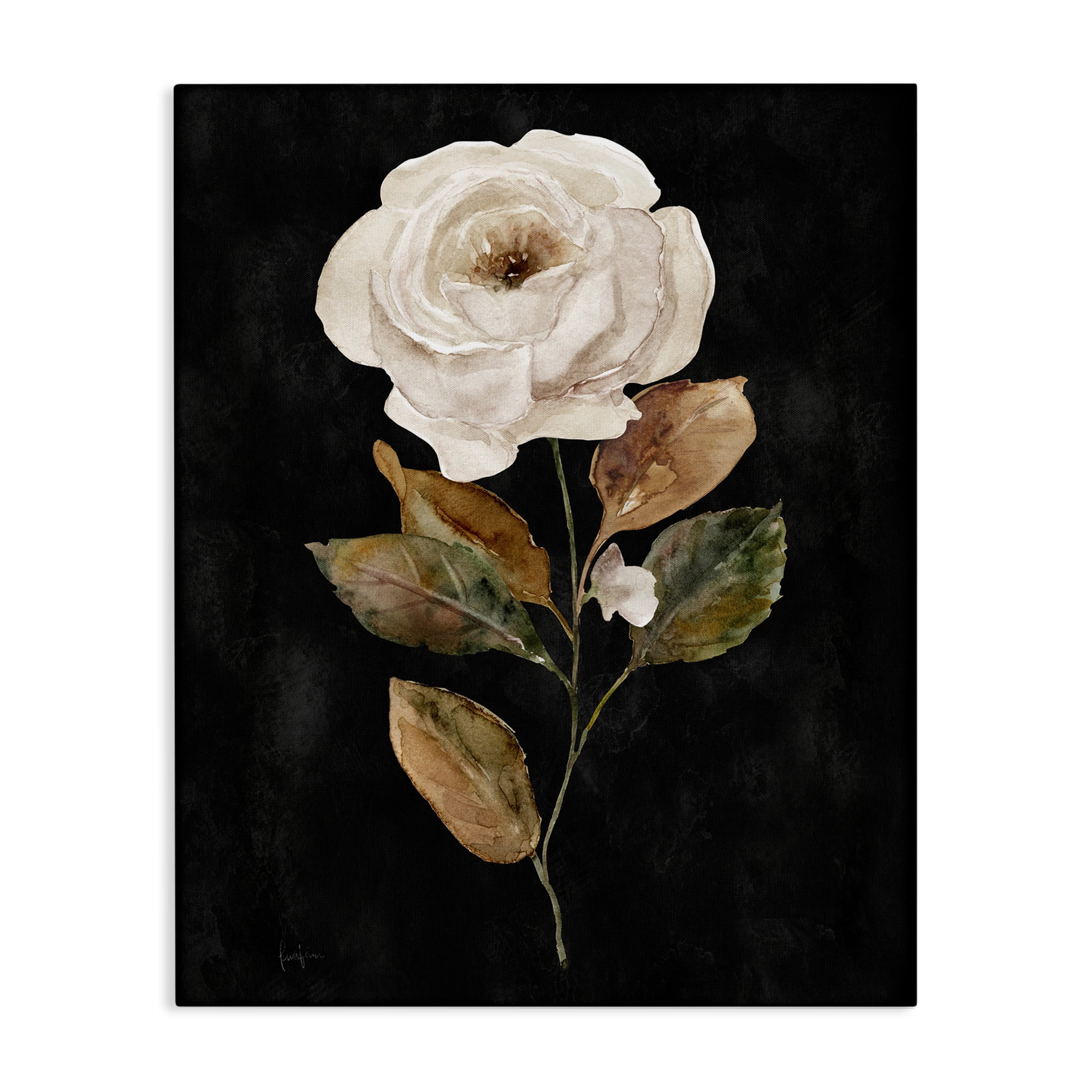 Stupell Industries White Rose on Black Plants & Flowers Painting Wrapped Canvas Art Print Wall Art, 36 x 48