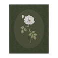 thumbnail image 1 of Stupell Industries French Country White Rose on Emerald Canvas Art, 30 x 40, by Sally Swatland, 1 of 8