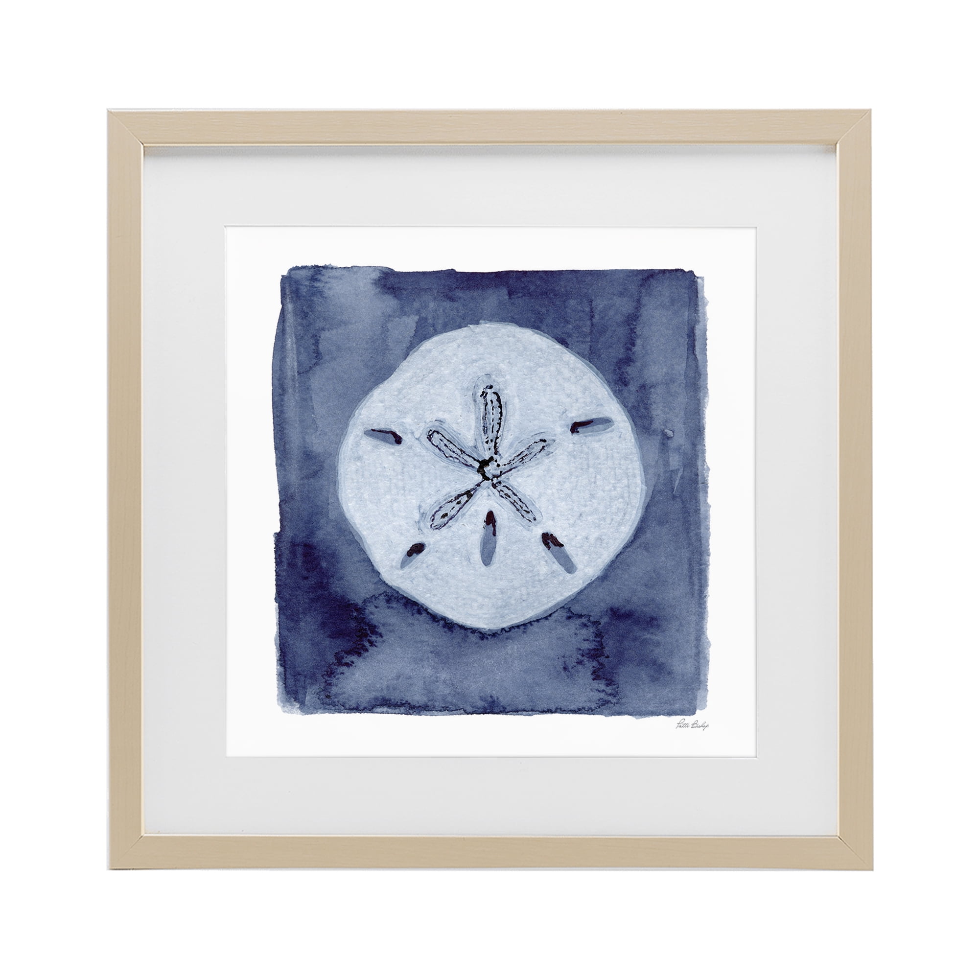 Stupell Industries White Sand Dollar on Indigo Birch Framed Print Under Glass, design by Patti Bishop