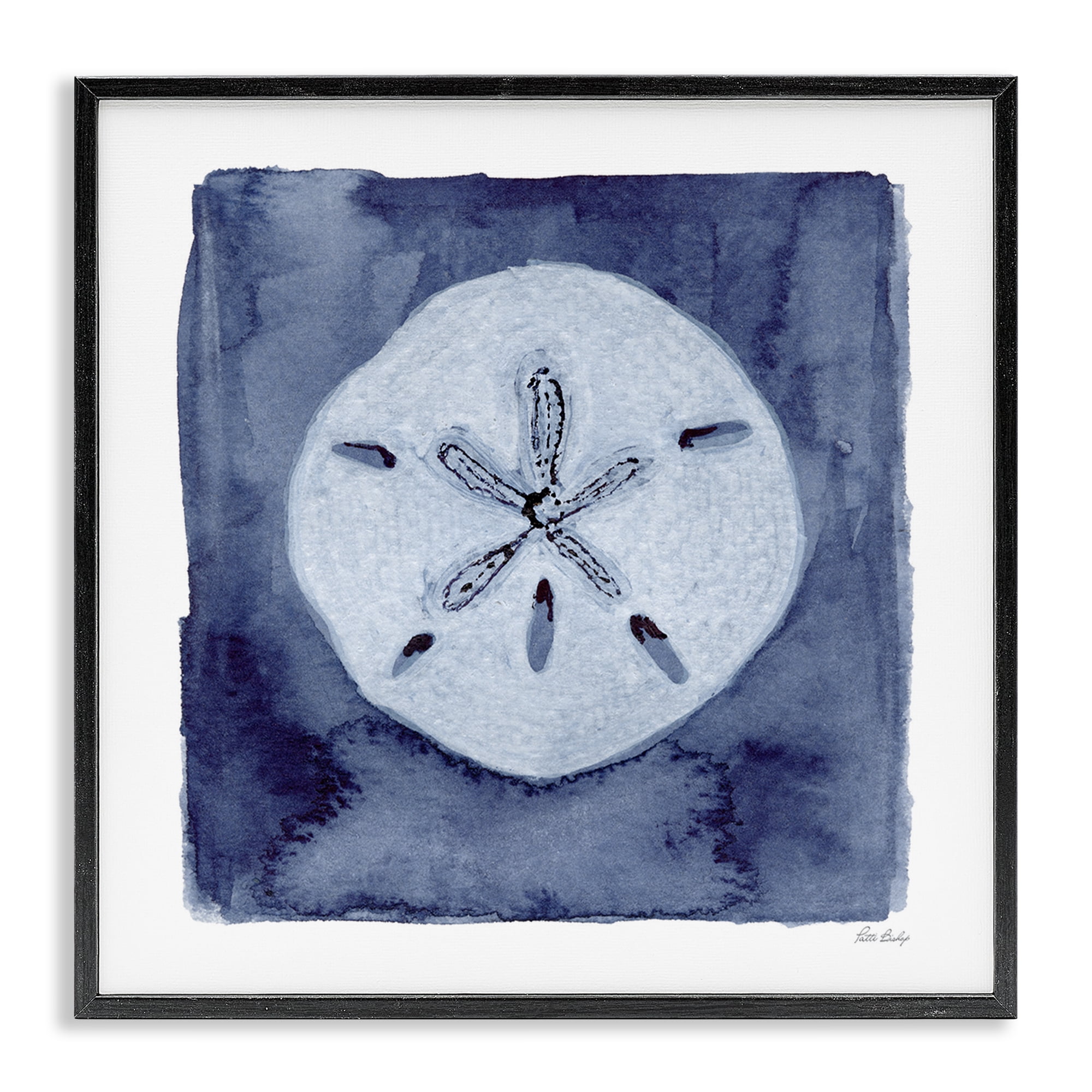 Stupell Industries White Sand Dollar on Indigo Black Framed Giclee Art, design by Patti Bishop
