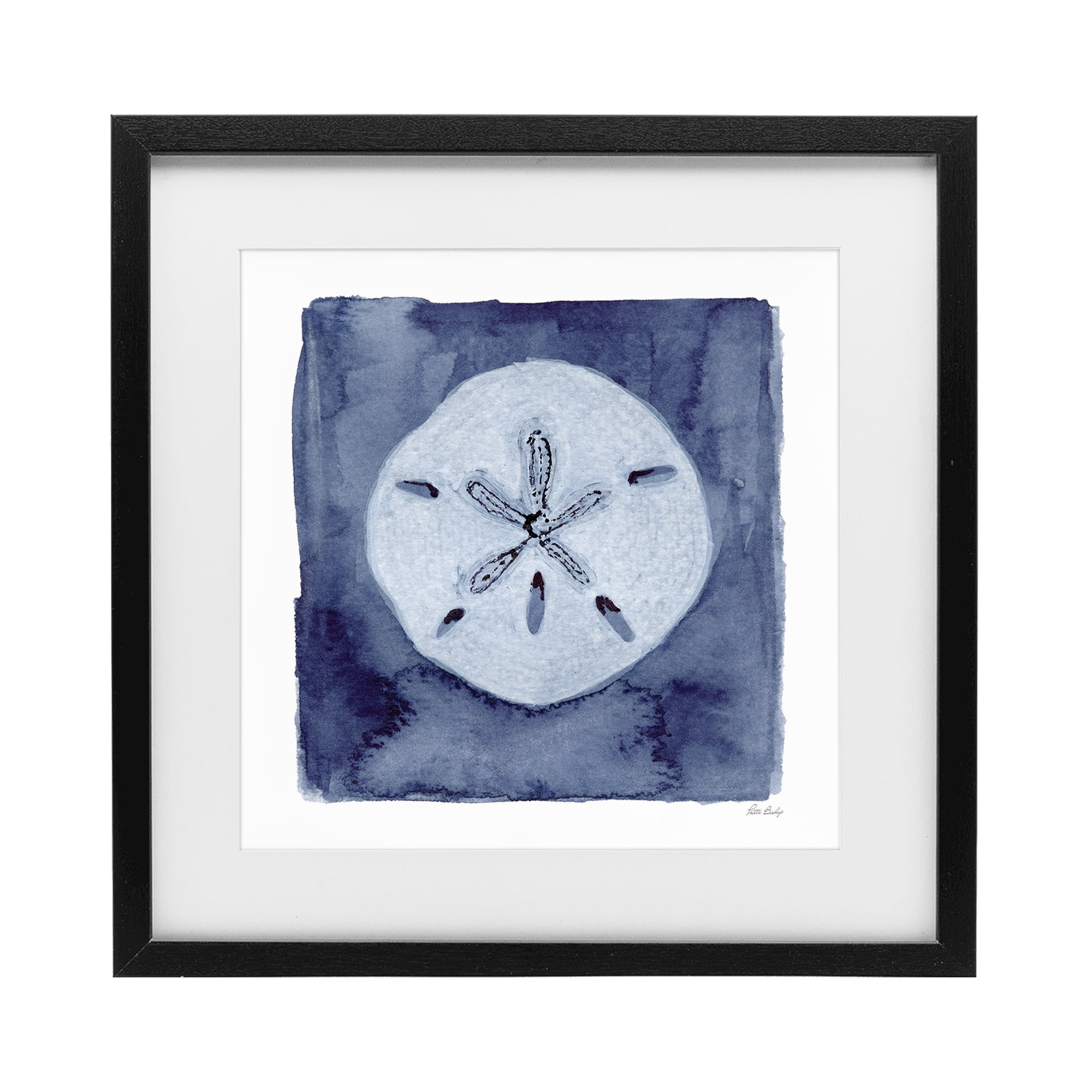 Stupell Industries White Sand Dollar on Indigo Black Framed Print Under Glass, design by Patti Bishop