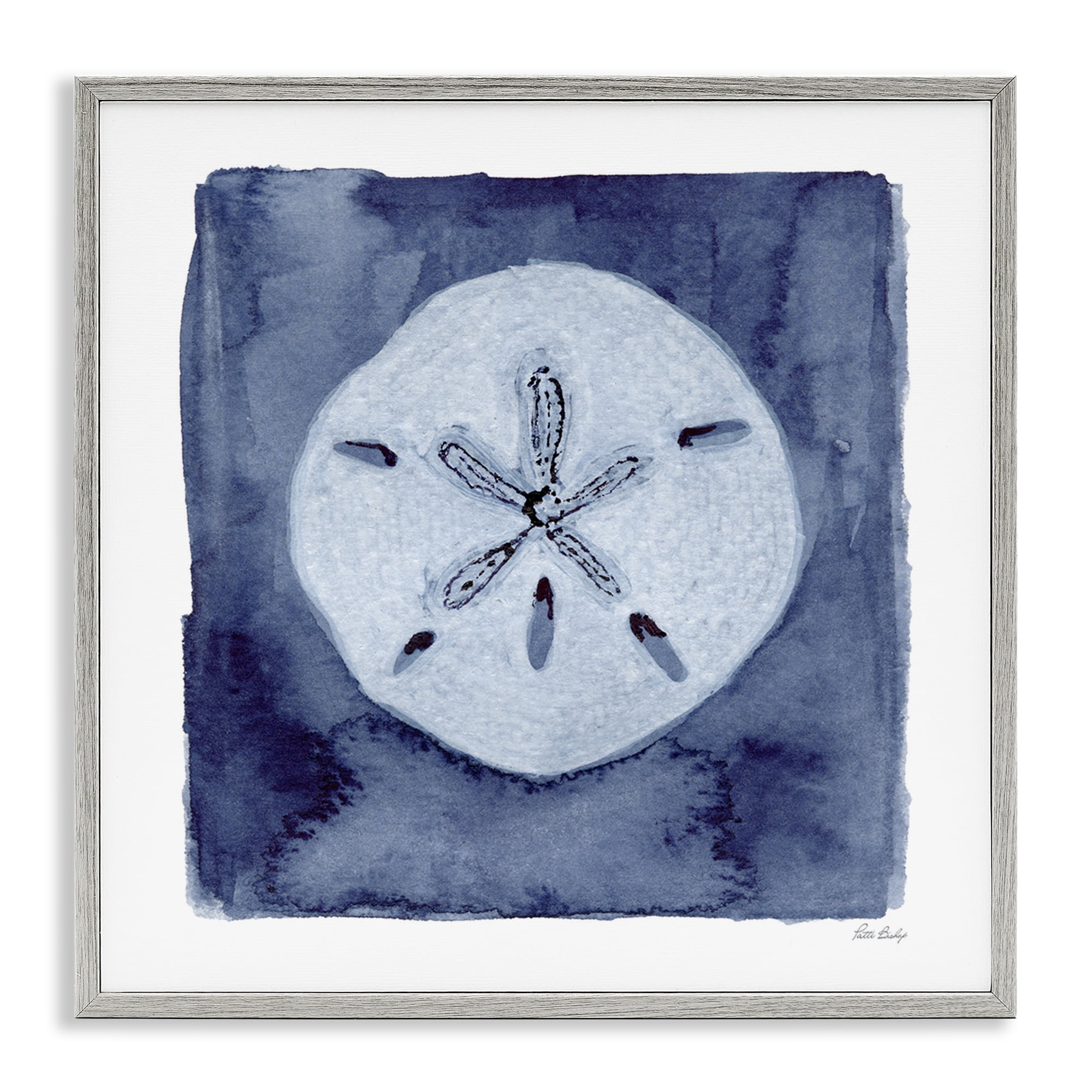 Stupell Industries White Sand Dollar on Indigo Gray Framed Giclee Art, design by Patti Bishop