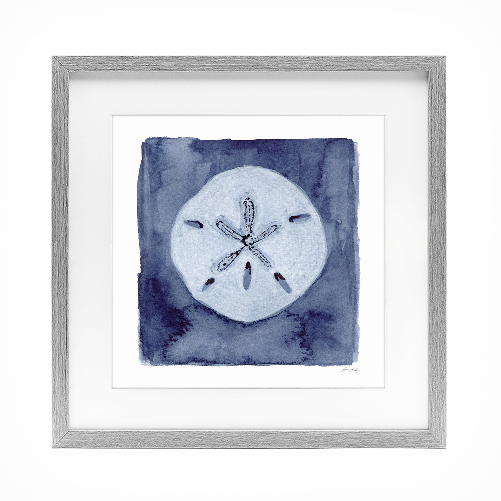 Stupell Industries White Sand Dollar on Indigo Gray Framed Print Under Glass, design by Patti Bishop