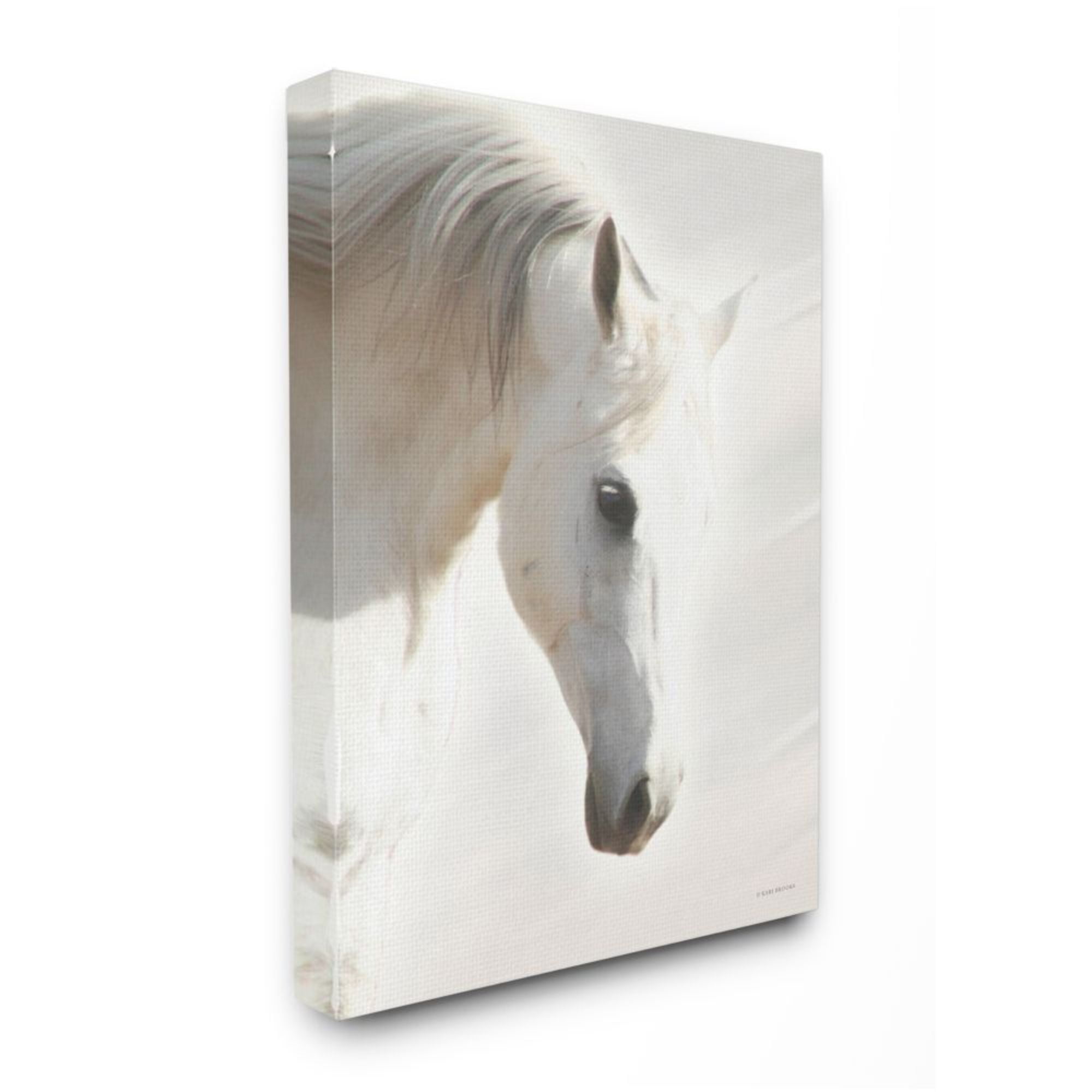 Stupell Industries White Stallion Portrait Minimal Southwestern Horse Design by Kari Brooks, 36" x 48"