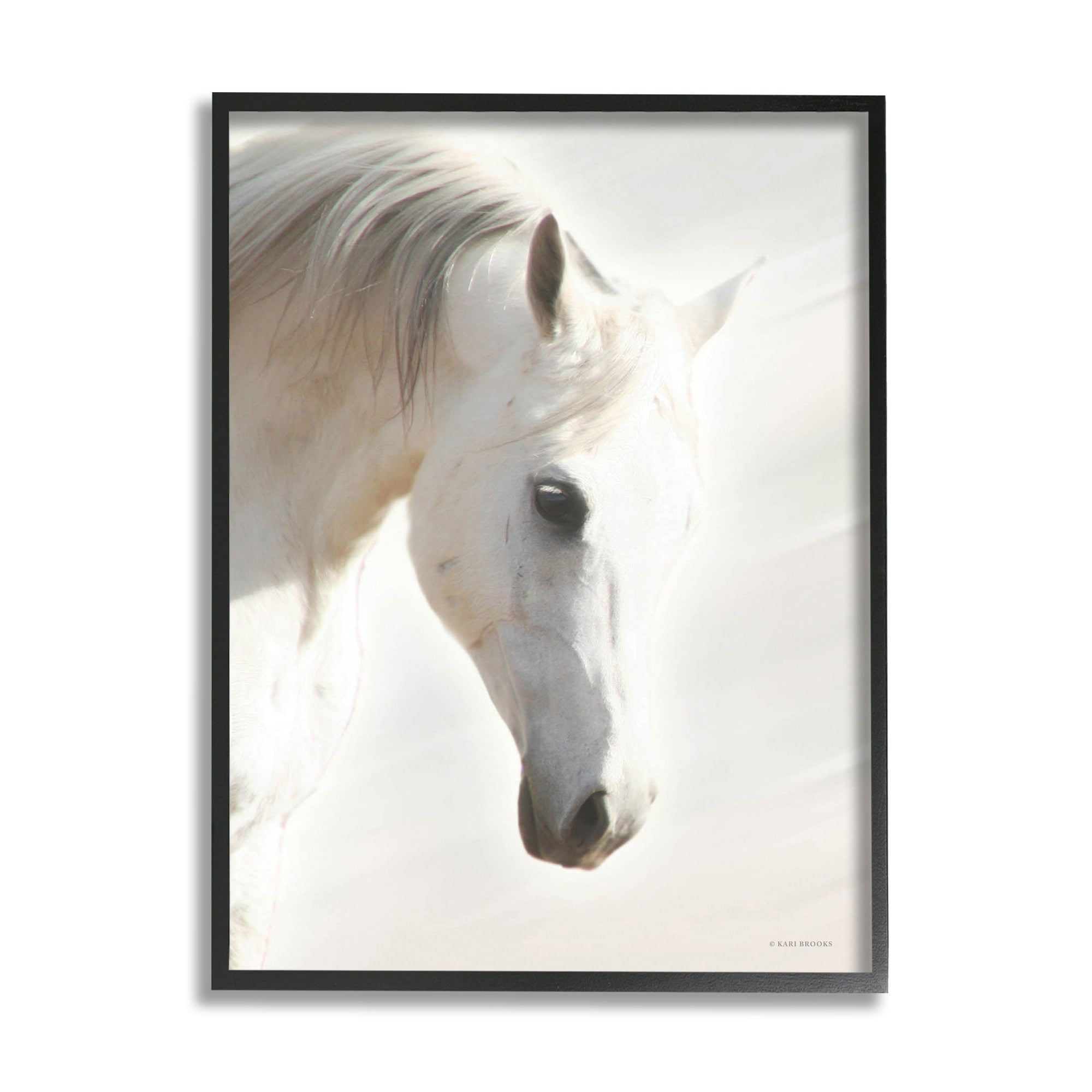 White Stallion Portrait on Canvas with Black Frame