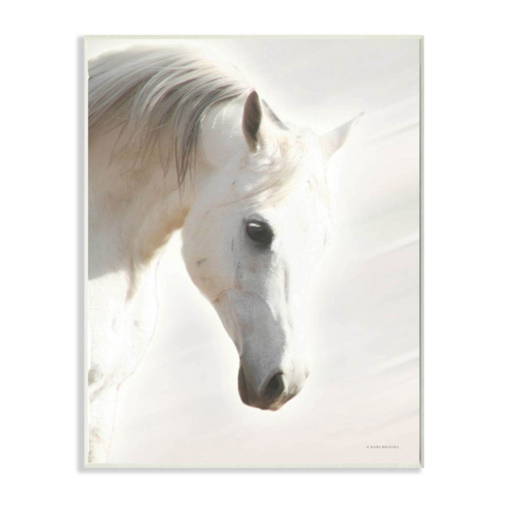 Stupell Industries White Stallion Portrait Minimal Southwestern Horse Design by Kari Brooks