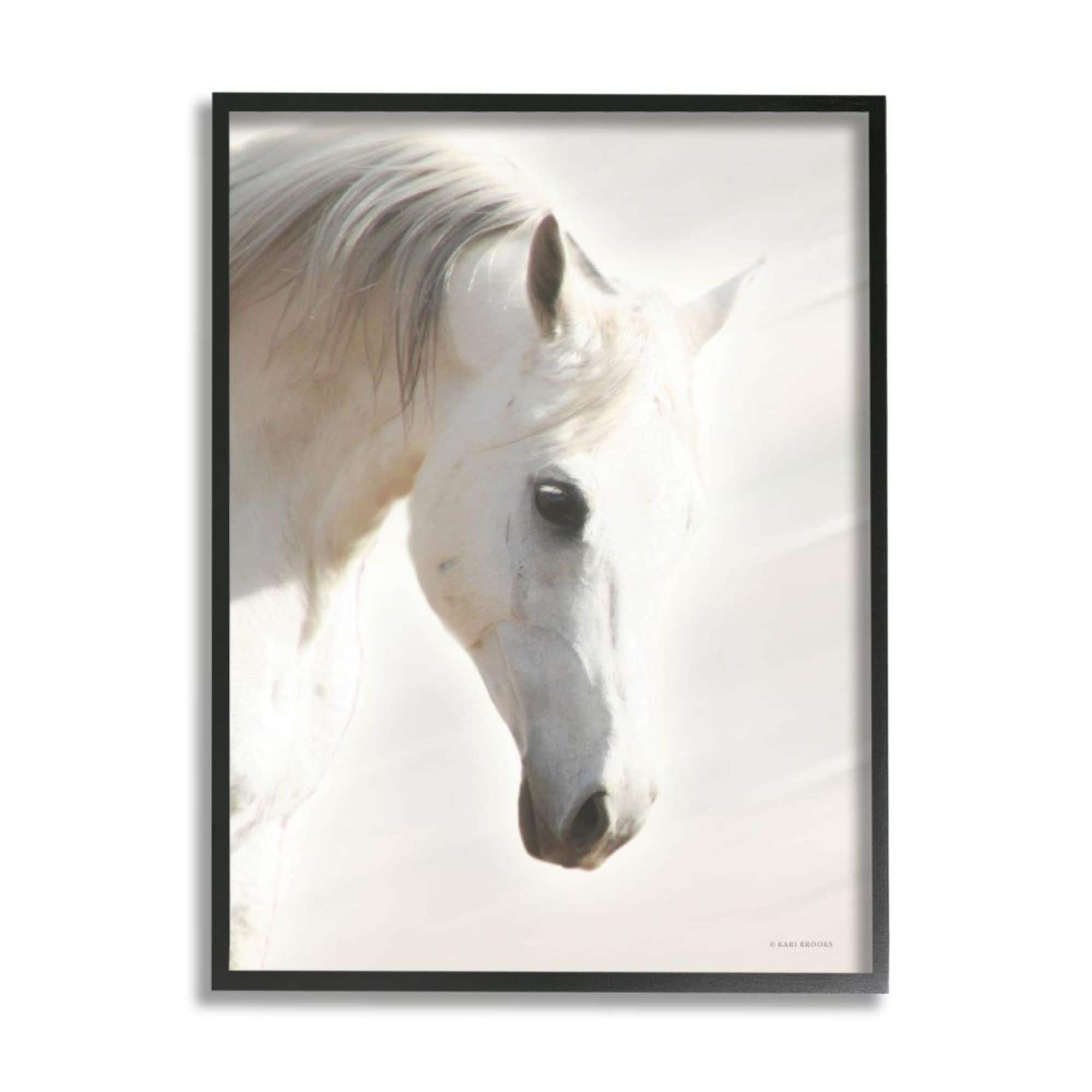 Stupell Industries White Stallion Portrait Minimal Southwestern Horse Photography Black Framed Art Print Wall Art, 16x20, by Kari Brooks