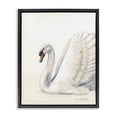 thumbnail image 1 of Stupell Industries Transitional White Swan in Repose Black Floating Frame Canvas Art, 17 x 21, by Sara Baker, 1 of 8