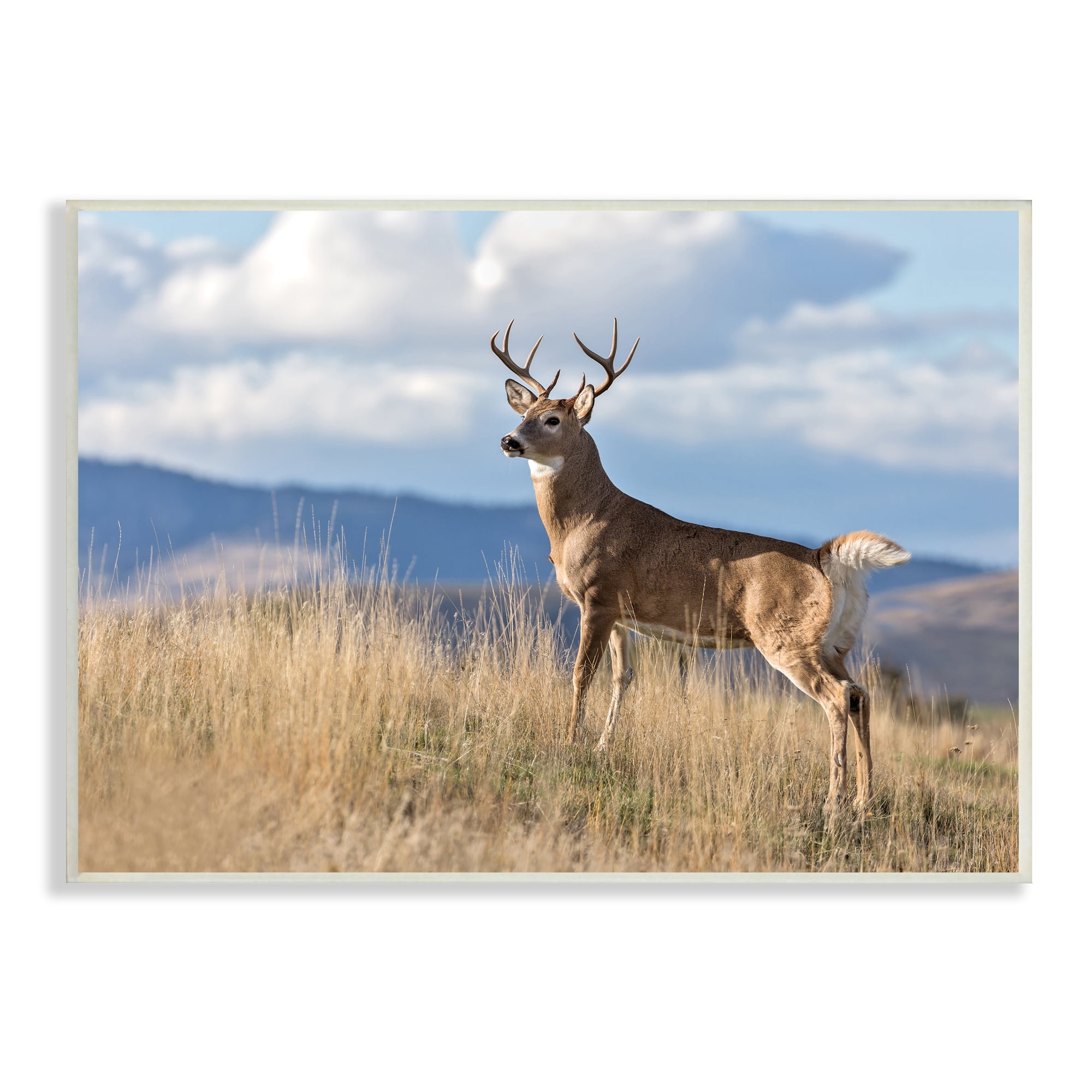 White-Tail Buck in Wild Montana Mountains Blue Sky MDF Wood Wall Plaque