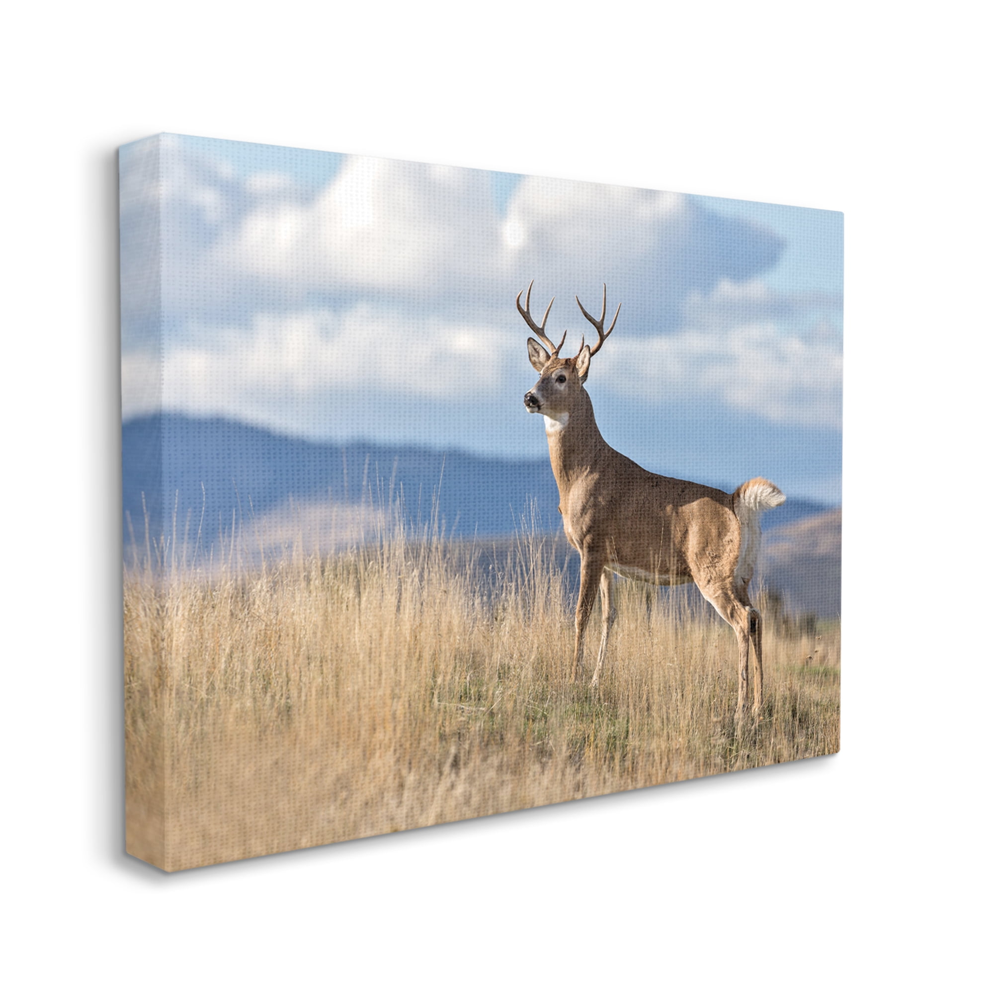 Stupell Industries White-Tail Buck in Wild Montana Mountains Blue Sky, 16 x 20, Designed by Larry McFerrin