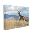thumbnail image 1 of Stupell Industries White-Tail Buck in Wild Montana Mountains Blue Sky, 16 x 20, Designed by Larry McFerrin, 1 of 6