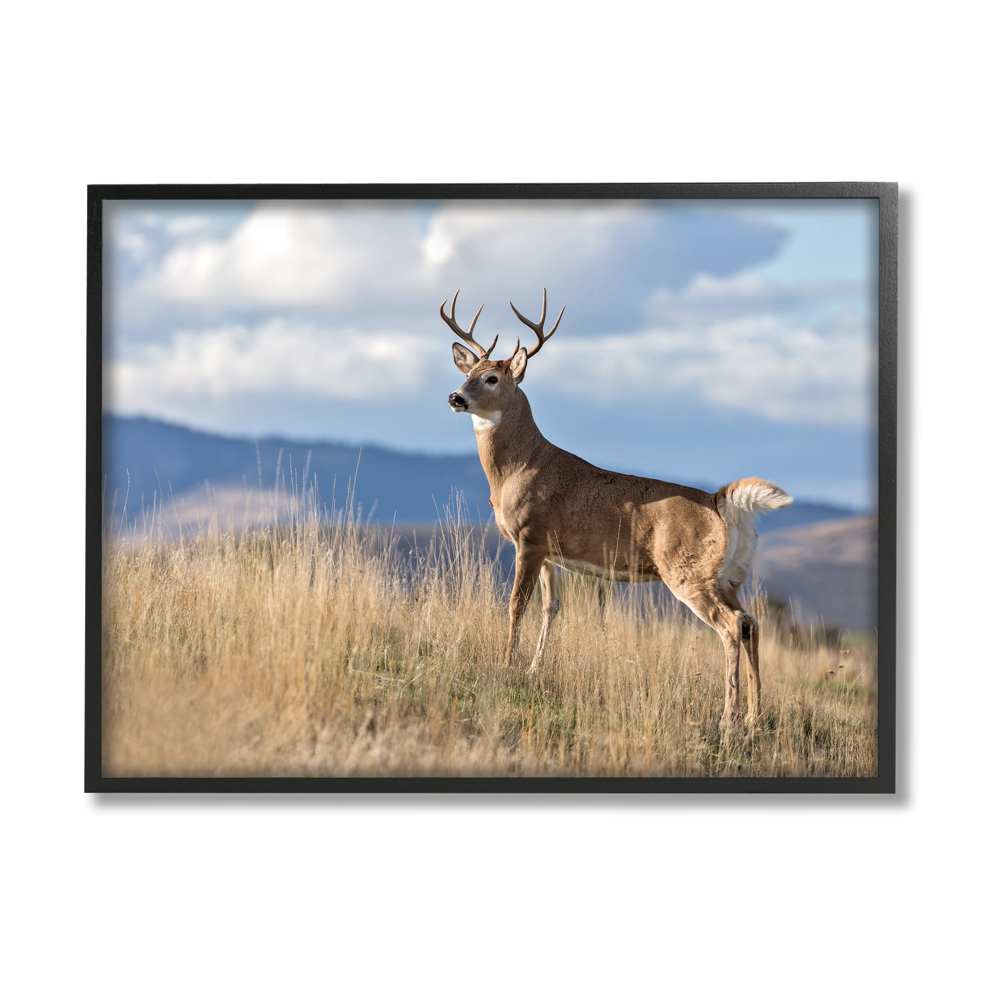 Stupell Industries White-Tail Buck in Wild Montana Mountains Blue Sky Photography Black Framed Art Print Wall Art, 11x14, by Larry McFerrin
