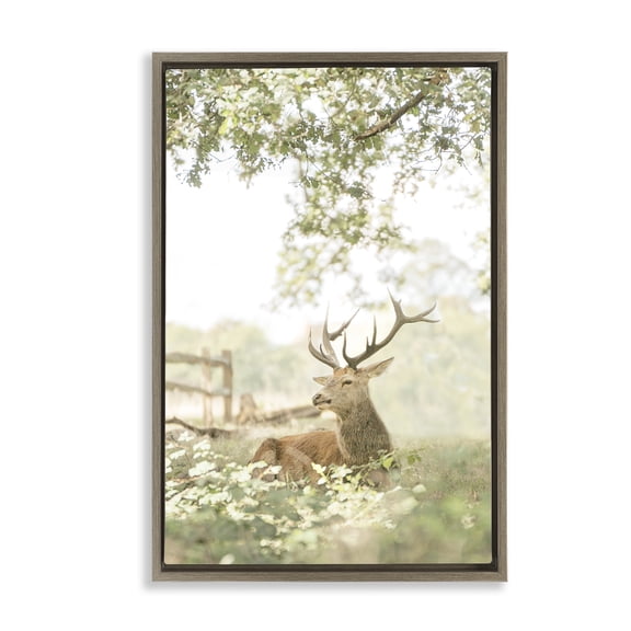 Stupell Industries White Tailed Deer Portrait Brown Framed Floater Canvas Wall Art design by Leah Straatsma, 31 x 21
