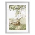 thumbnail image 1 of Stupell Industries White Tailed Deer Portrait Gray Framed Print Under Glass design by Leah Straatsma, 23 x 17, 1 of 10