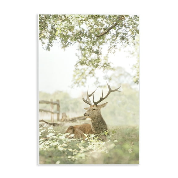 Stupell Industries White Tailed Deer Portrait Wall Plaque Art design by Leah Straatsma, 19 x 13