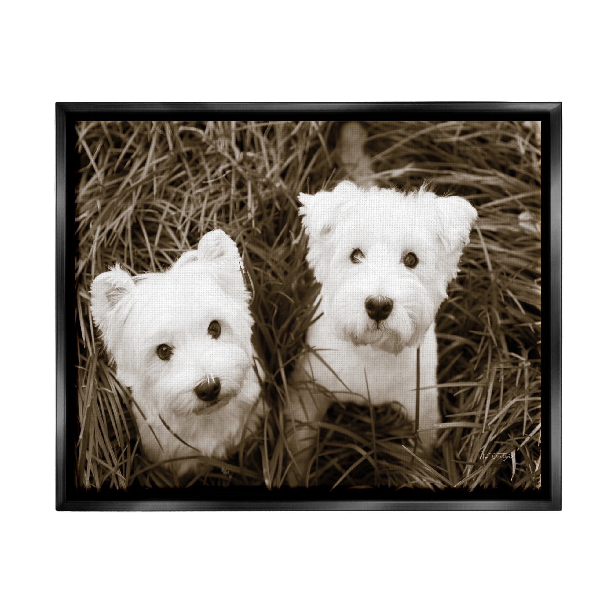 Stupell Industries White Terrier Puppies Animals & Insects Photography Black Floater Framed Art Print Wall Art, 31 x 25