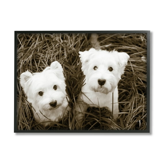 Stupell Industries White Terrier Puppies Animals & Insects Photography Black Framed Art Print Wall Art, 14 x 11