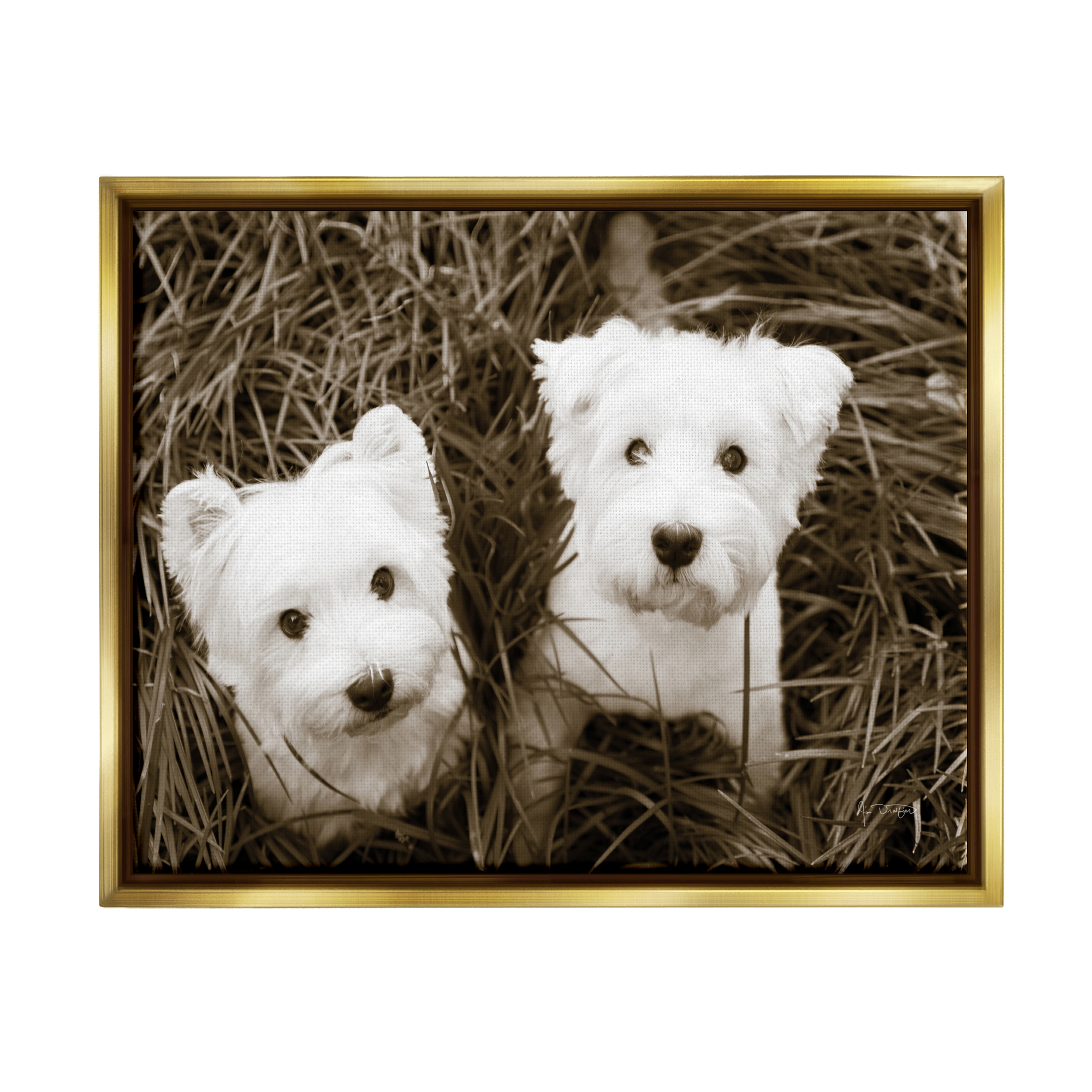 Stupell Industries White Terrier Puppies Animals & Insects Photography Gold Floater Framed Art Print Wall Art, 21 x 17