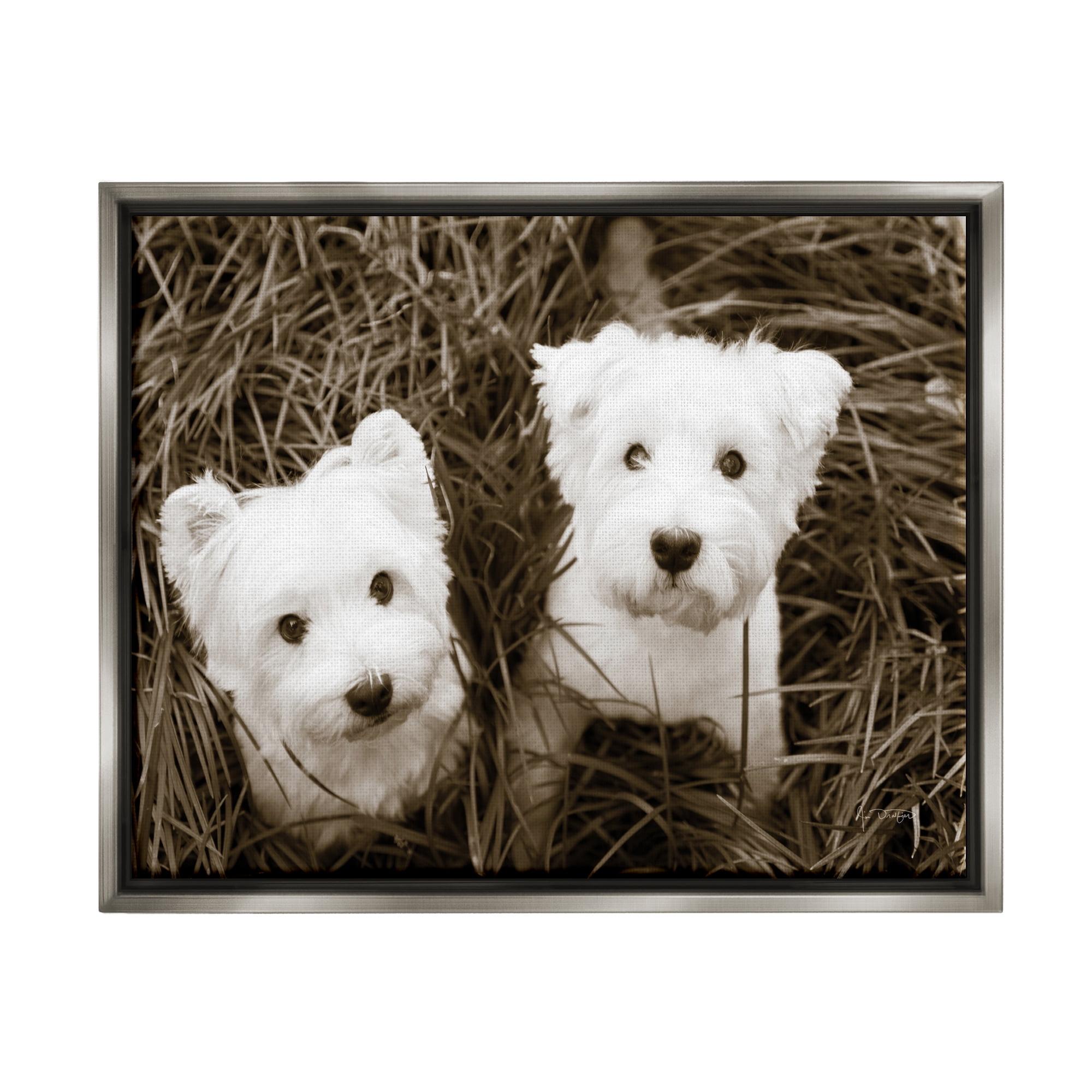 Stupell Industries White Terrier Puppies Animals & Insects Photography Gray Floater Framed Art Print Wall Art, 21 x 17
