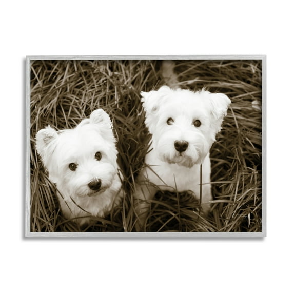 Stupell Industries White Terrier Puppies Animals & Insects Photography Gray Framed Art Print Wall Art, 14 x 11