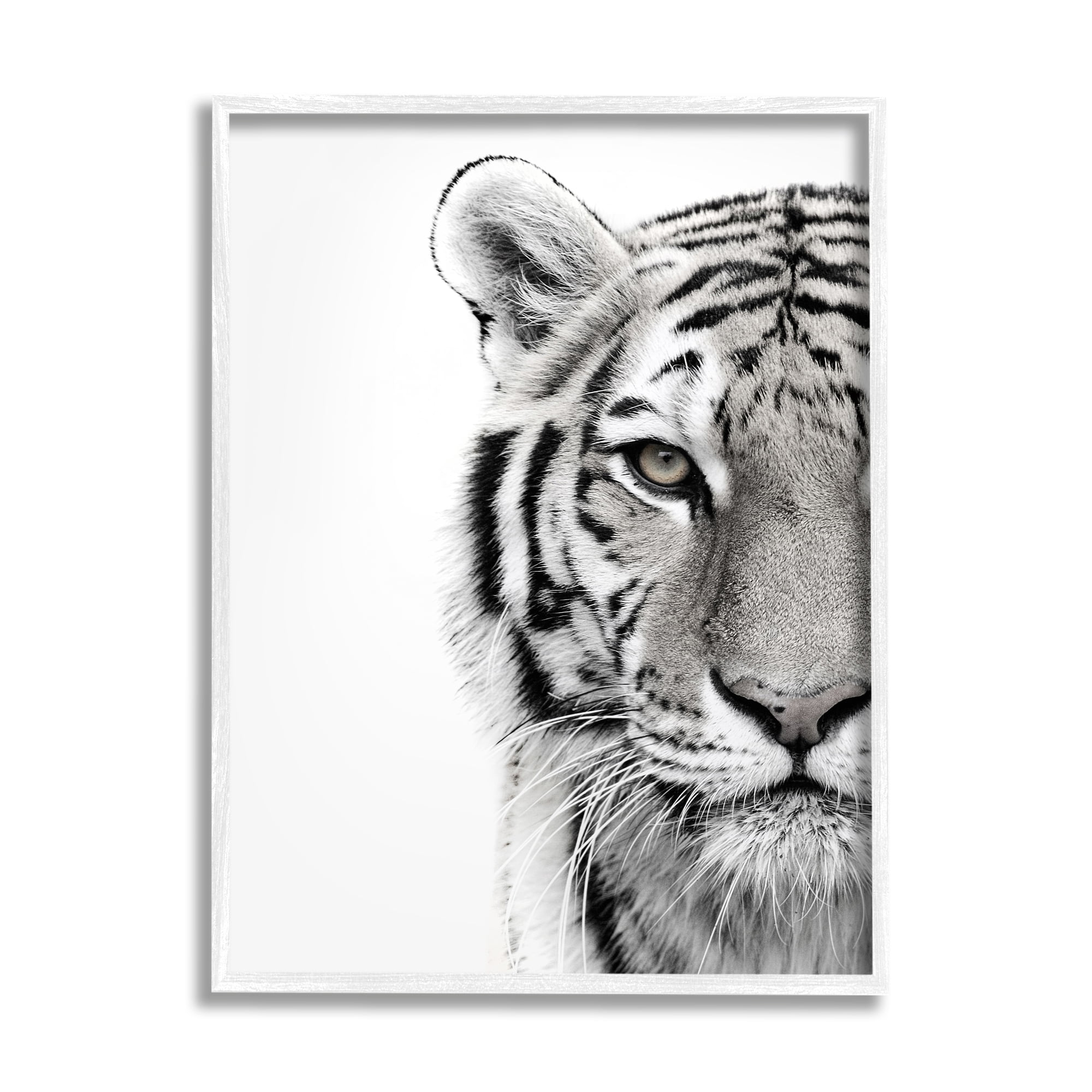 Stupell Industries White Tiger Close Up Black and White Photography Framed Art Print Wall Art, 16x20, By Design Fabrikken