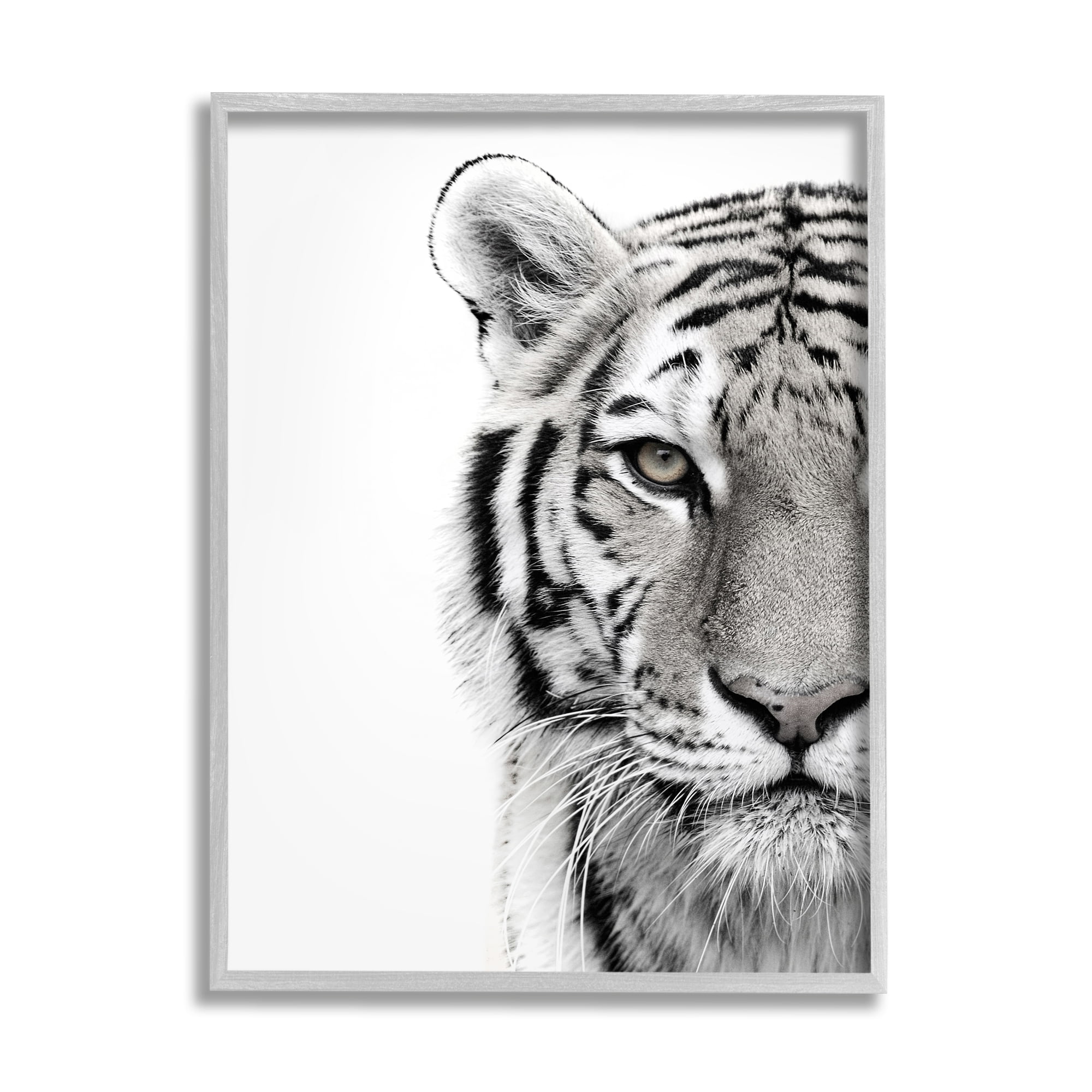 Stupell Industries White Tiger Close Up Black and White Photography Framed Art Print Wall Art, 24x30, By Design Fabrikken
