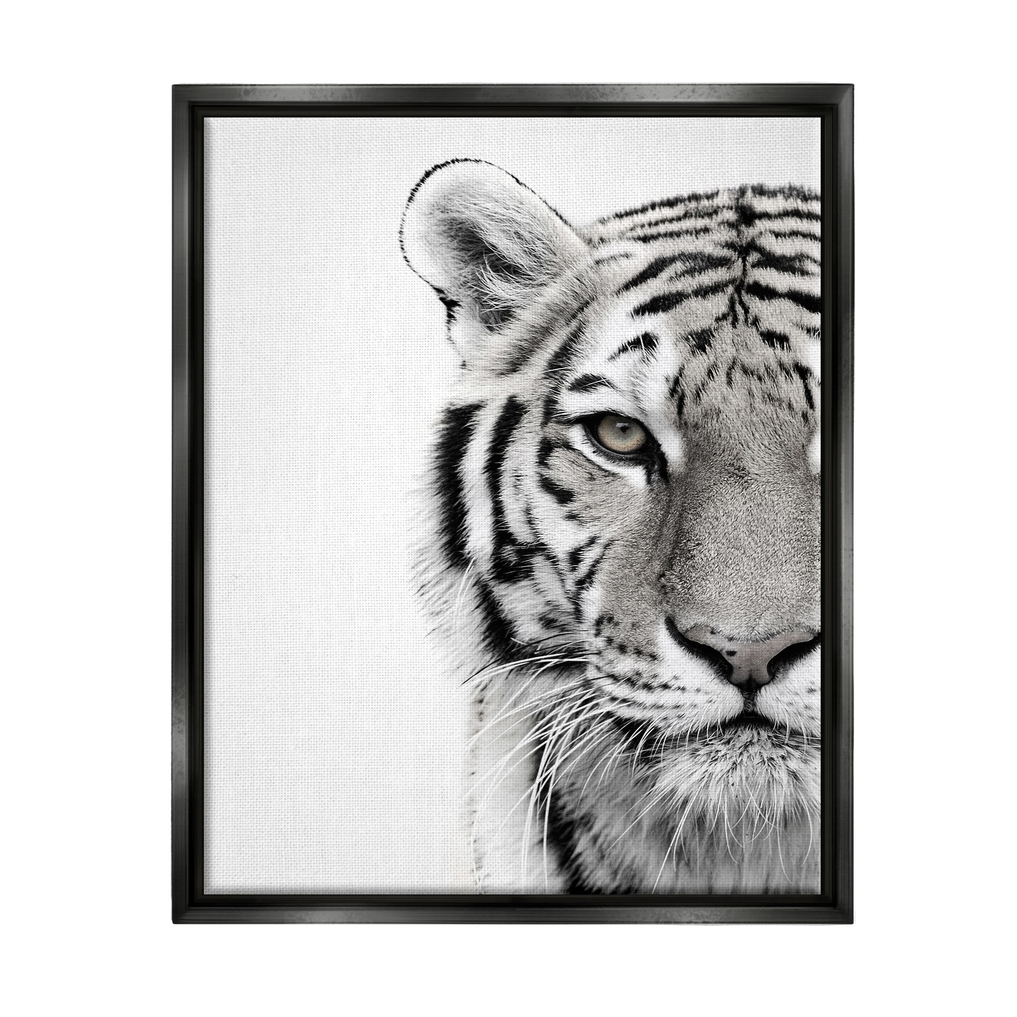 Stupell Industries White Tiger Close Up Black and White Photography Jet Black Framed Floating Canvas Wall Art, 16x20, by Design Fabrikken